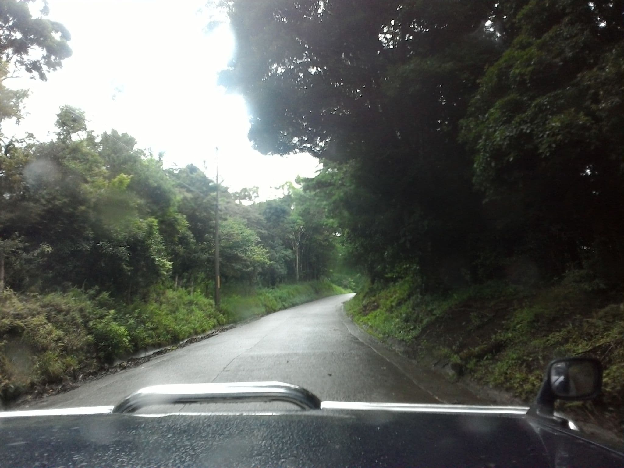 Street view near Ananta Forest, Juntas — © fphg (CC BY-SA · Mapillary)
