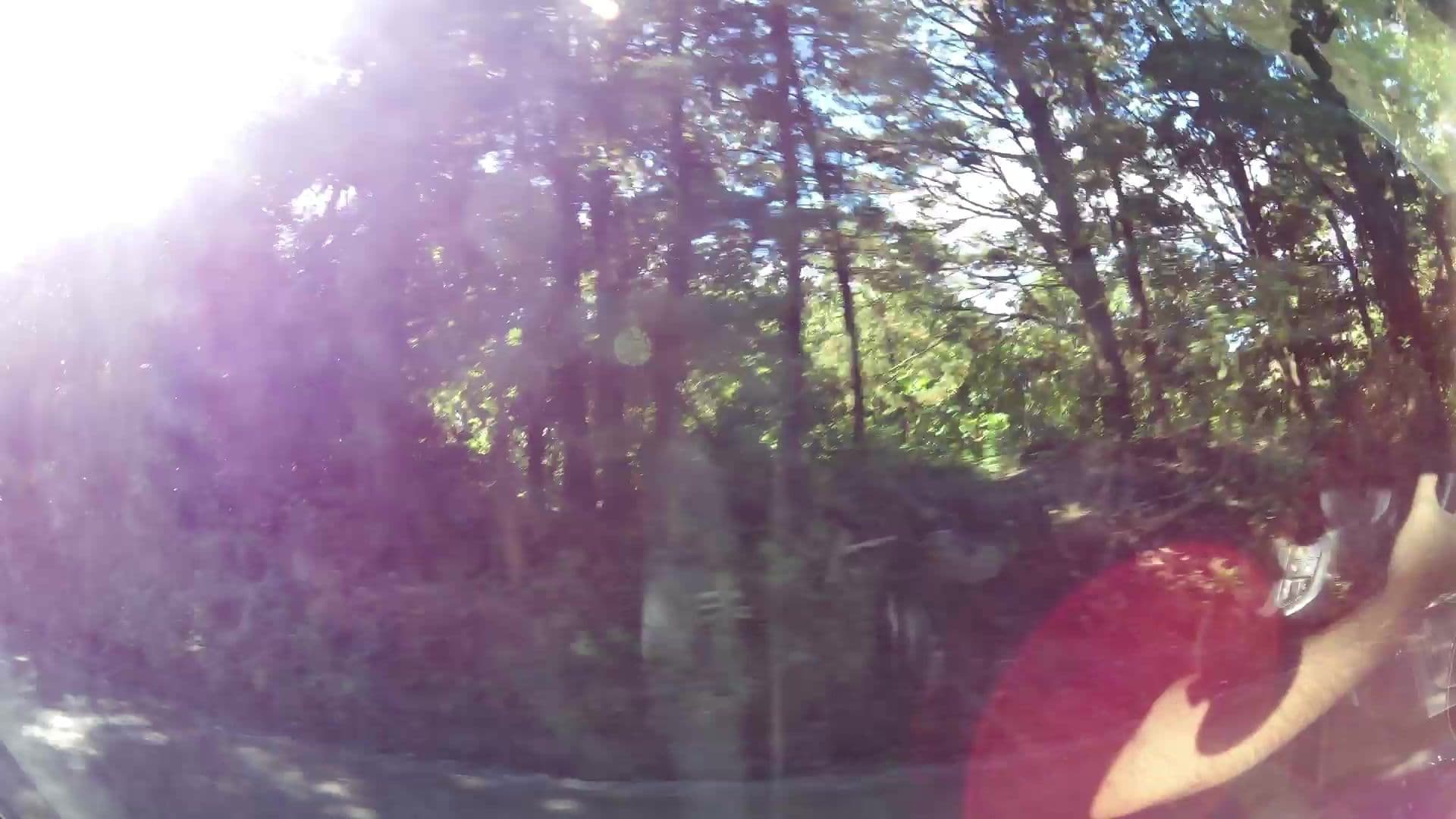 Street view near Tityra lodge, Juntas — © kaartcam (CC BY-SA · Mapillary)