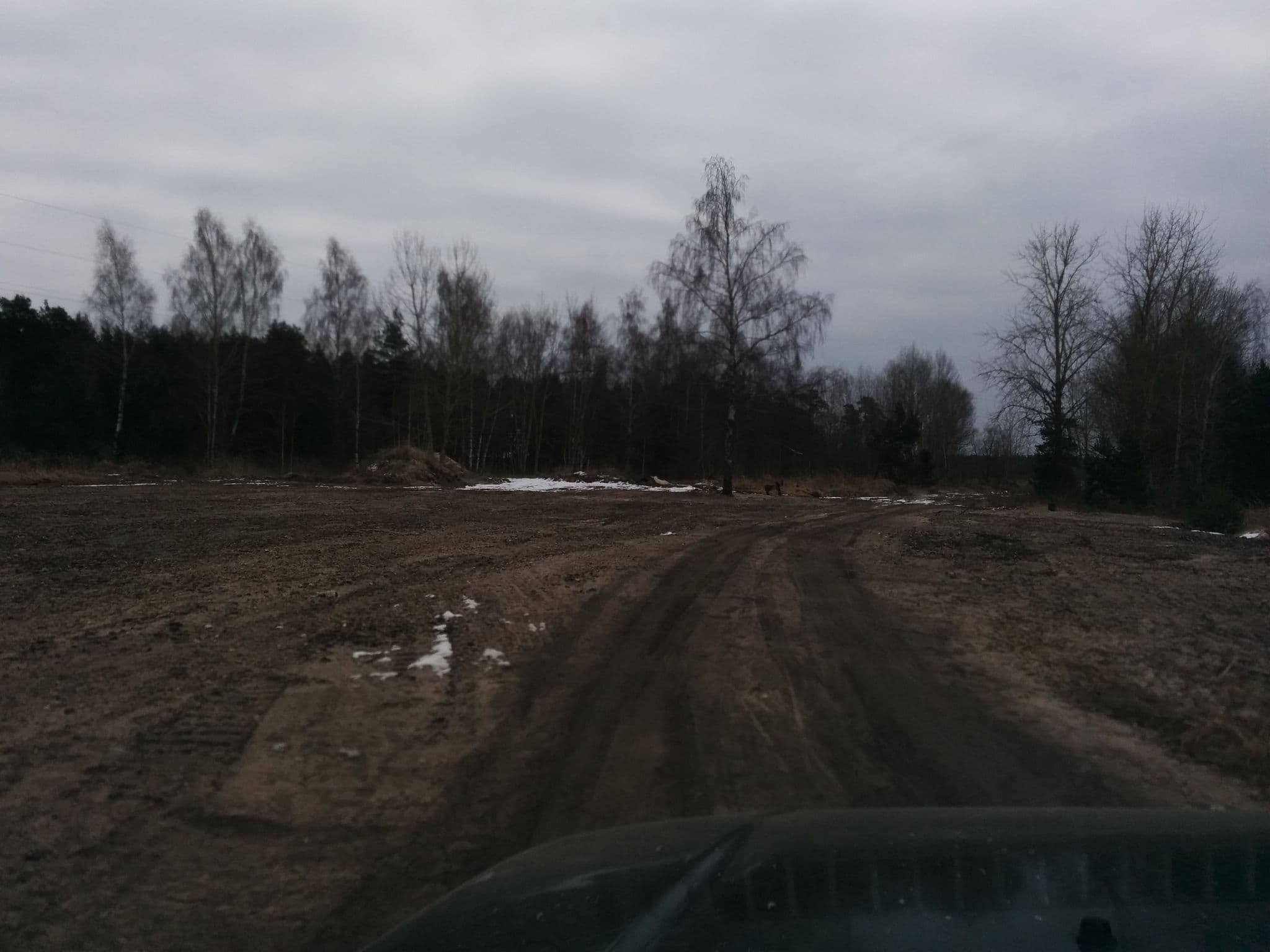Street view near NATURA PARK LV, Jūrmala — © kriksis (CC BY-SA · Mapillary)