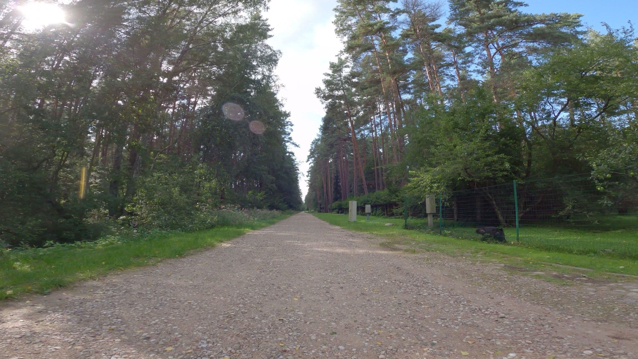 Street view near Forest house with outdoor hot tub, Jūrmala — © hellphoto (CC BY-SA · Mapillary)