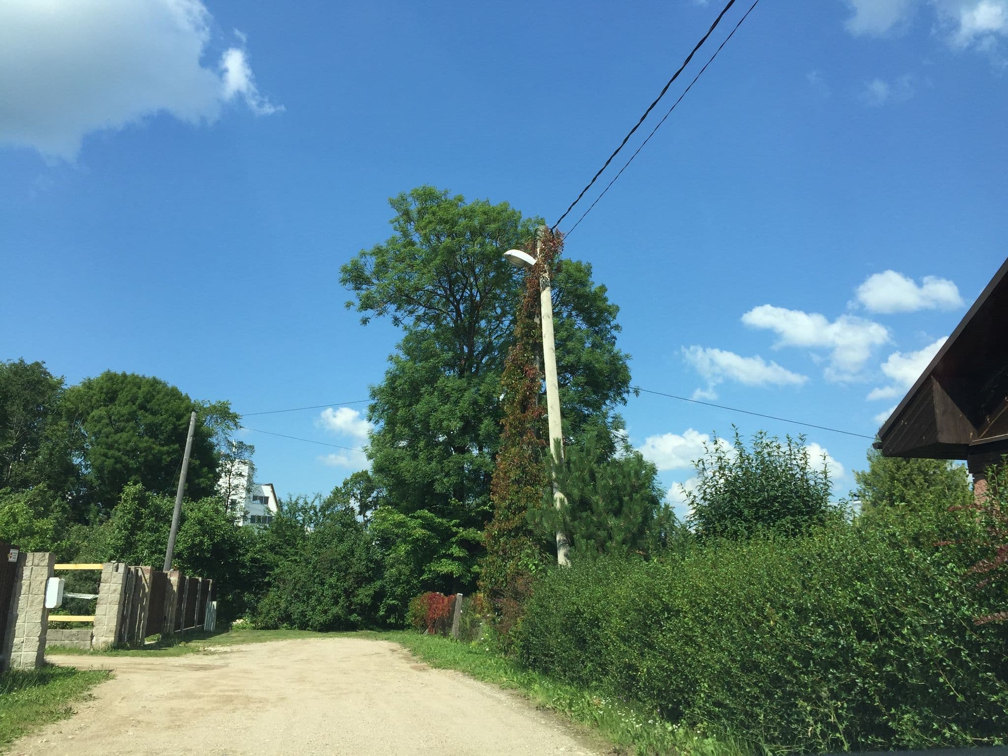 Street view near SiguldaIR, Sigulda — © richlv (CC BY-SA · Mapillary)