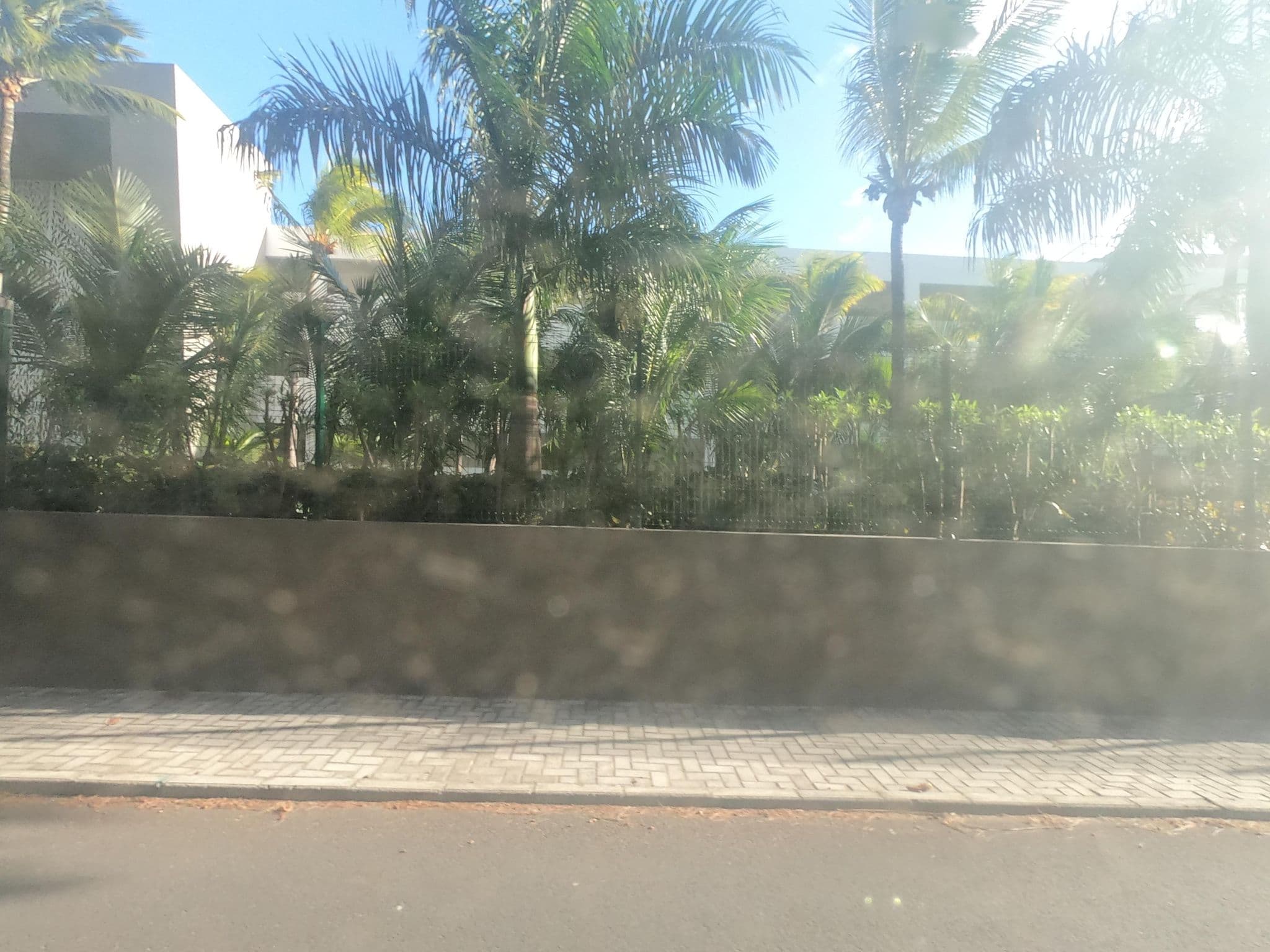 Street view near Hotel Riu Palace Mauritius, Petite Case Noyale — © filohipo (CC BY-SA · Mapillary)
