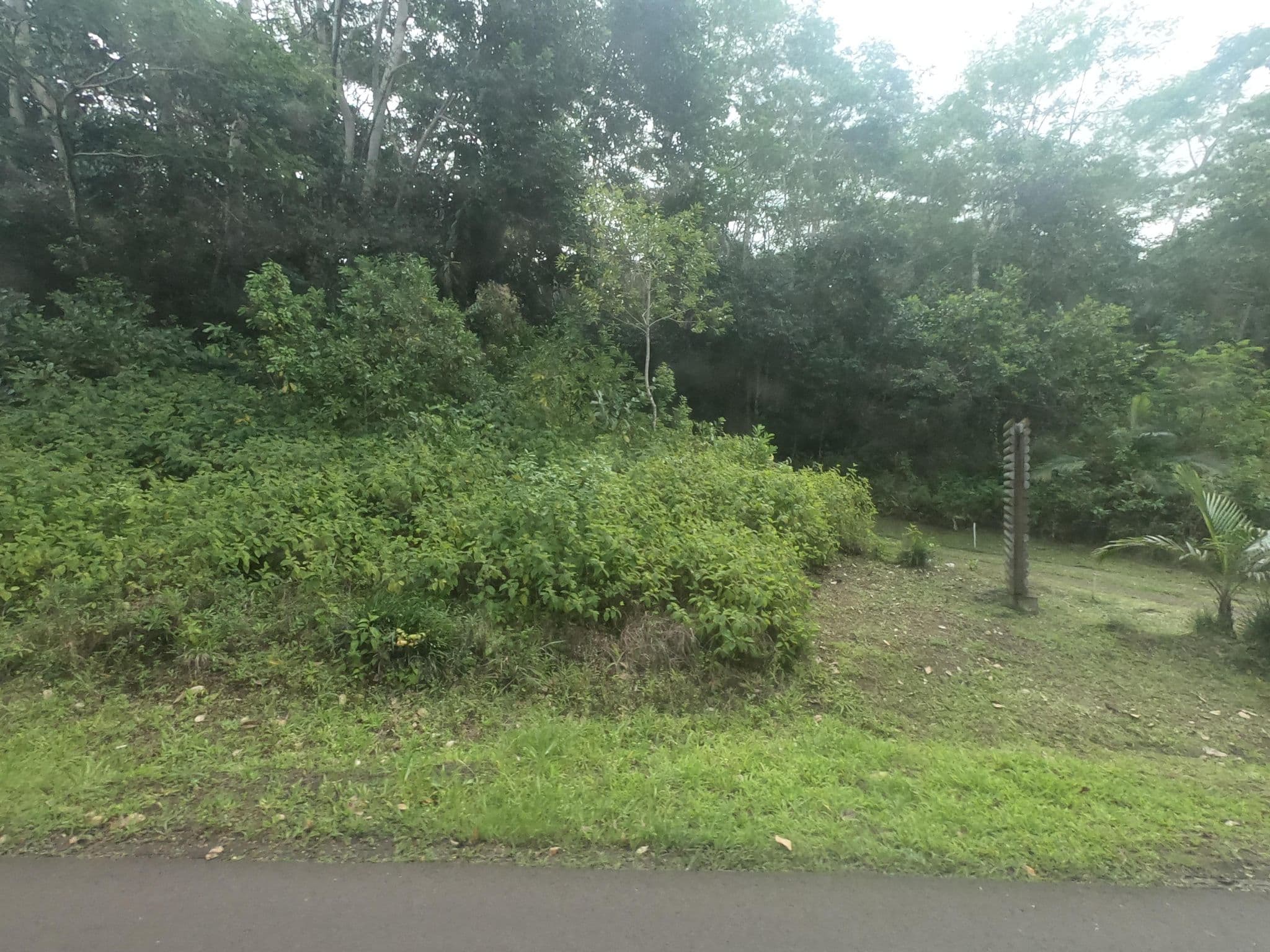 Street view near Green Cottage - Chamarel, Petite Case Noyale — © filohipo (CC BY-SA · Mapillary)