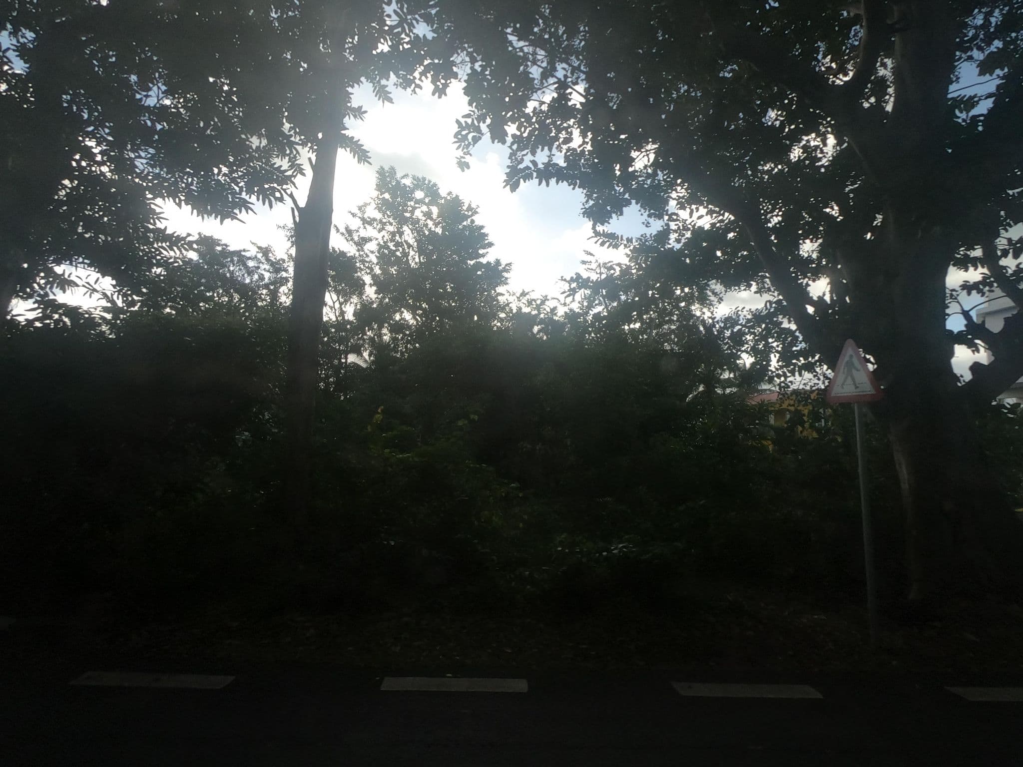 Street view near La nuit étoilée, Petite Case Noyale — © filohipo (CC BY-SA · Mapillary)
