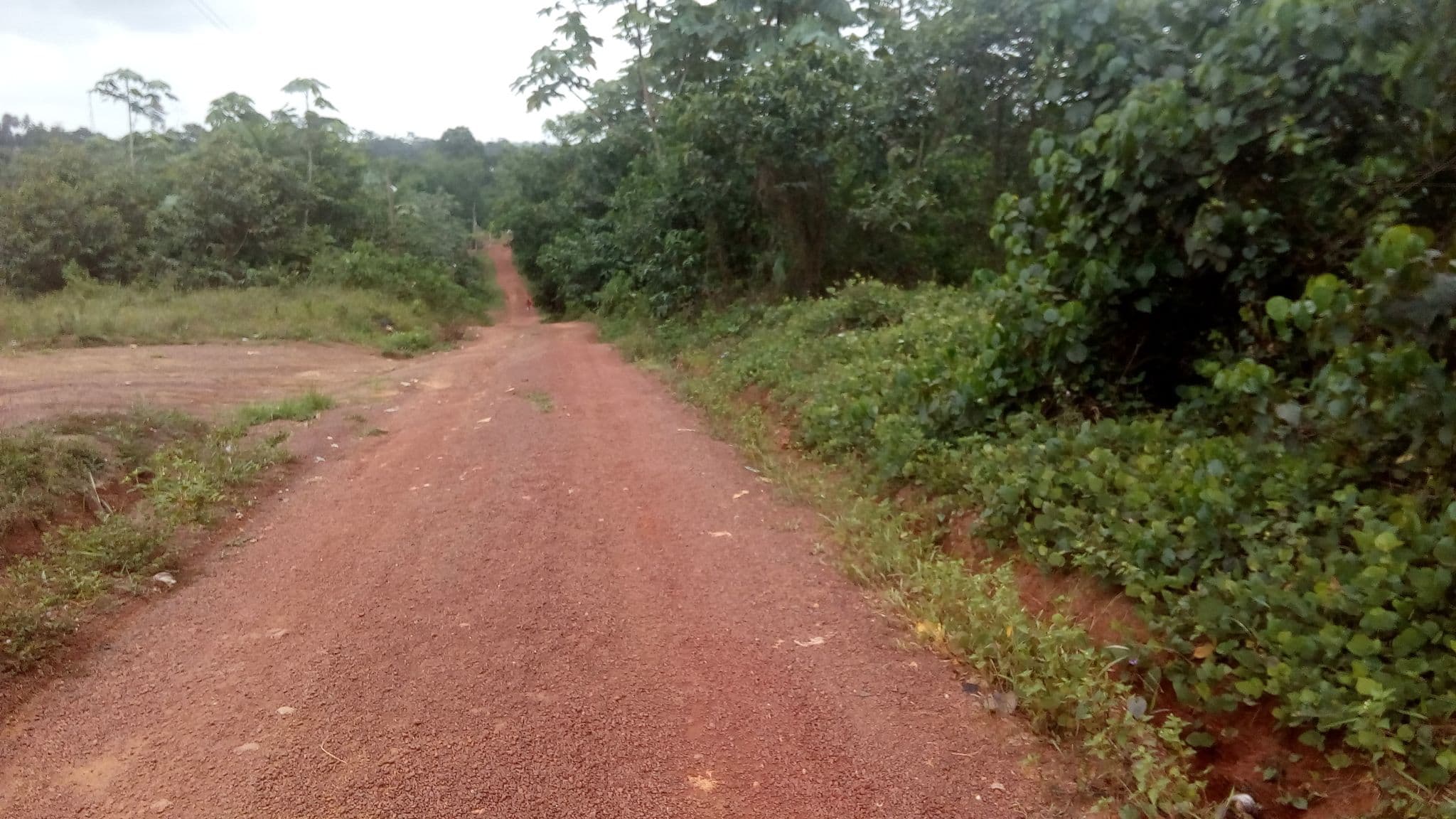 Street view near FRUBEN HOSTEL, Tarkwa — © kweikublankson (CC BY-SA · Mapillary)