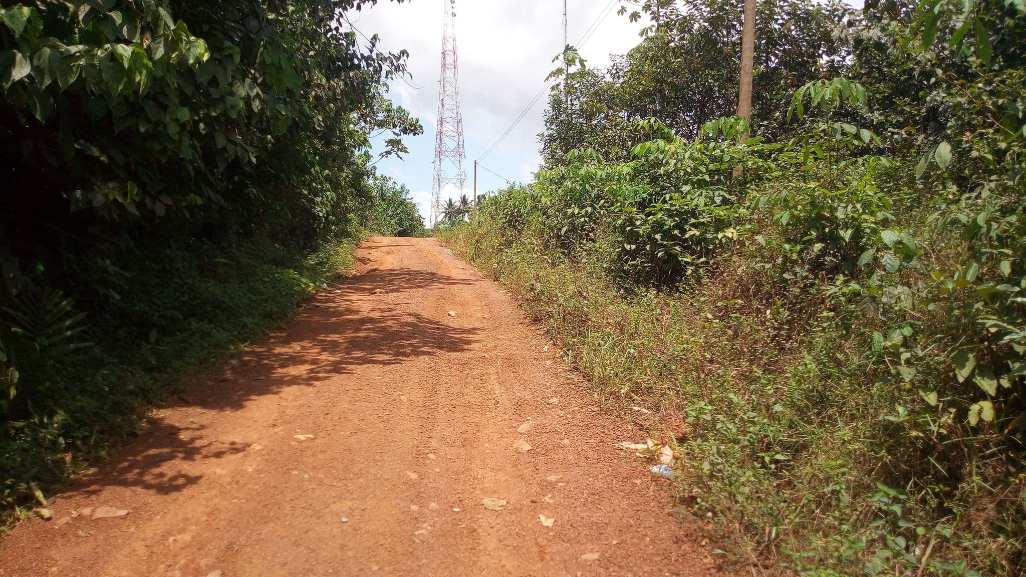 Street view near Osborn Hostel, Tarkwa — © michris (CC BY-SA · Mapillary)