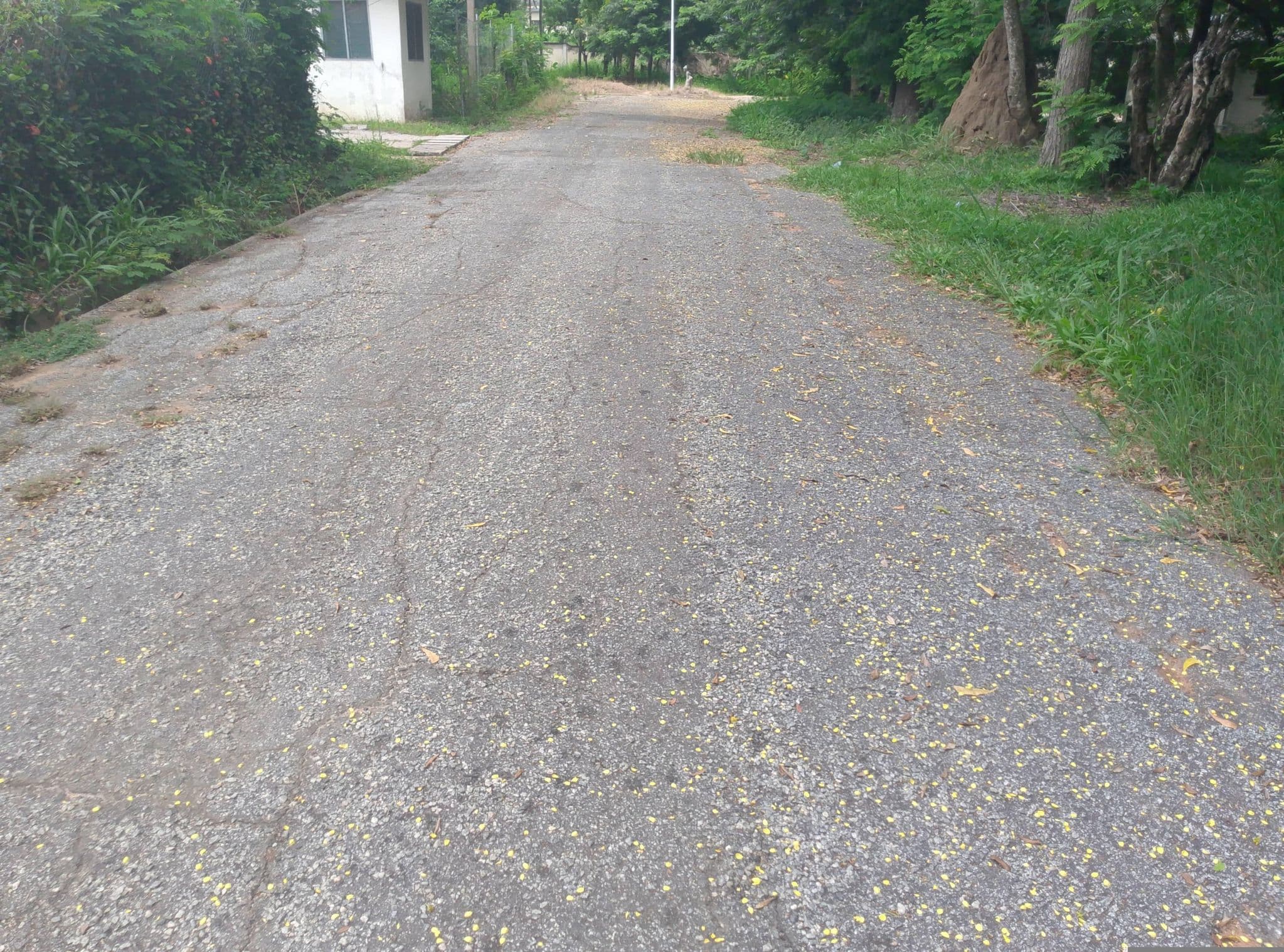 Street view near Tina's Prestige Hostel, Winneba — © Donkor (CC BY-SA · Mapillary)