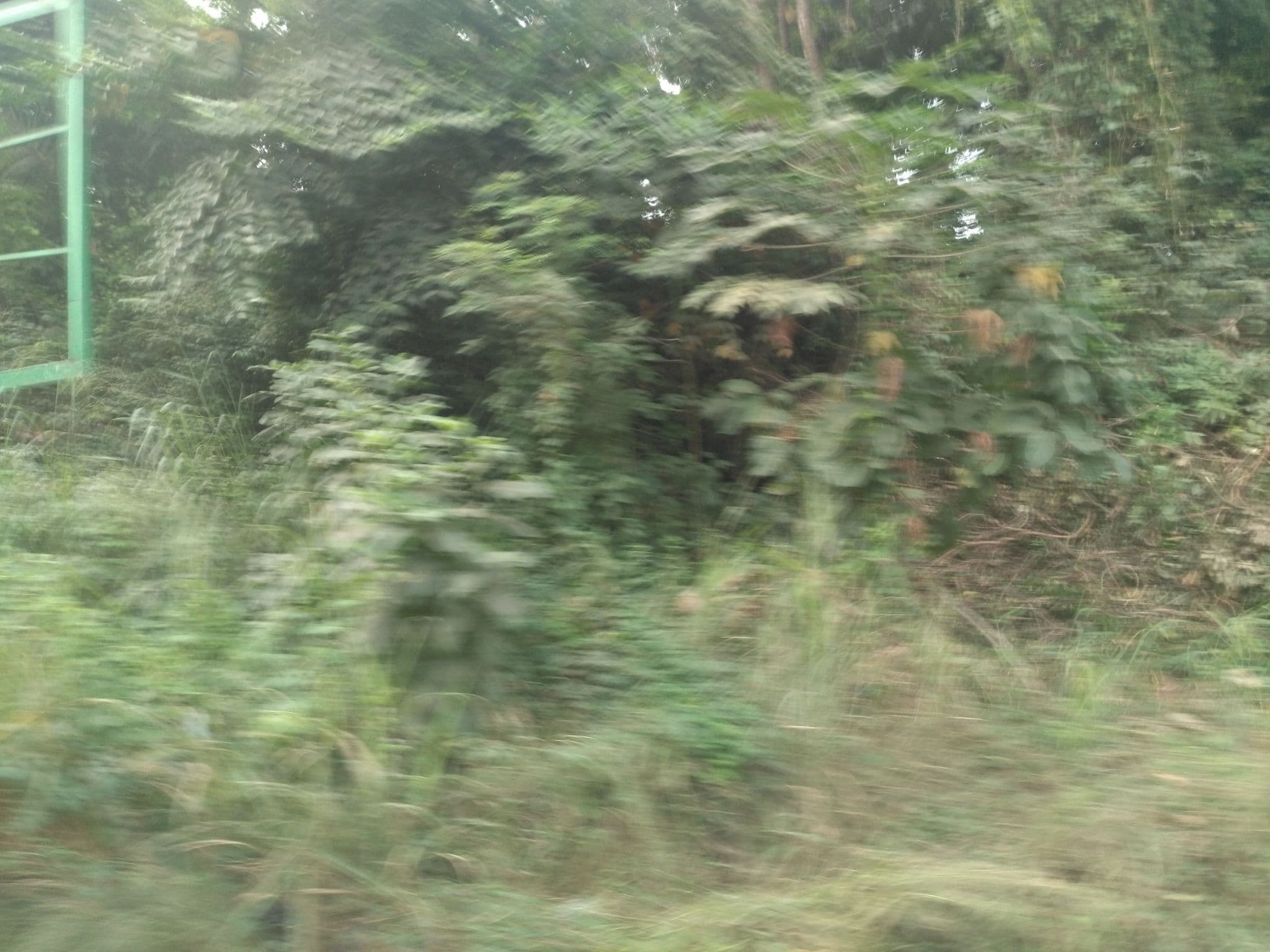 Street view near Hotel Georgia, Kumasi — © ralebipim (CC BY-SA · Mapillary)