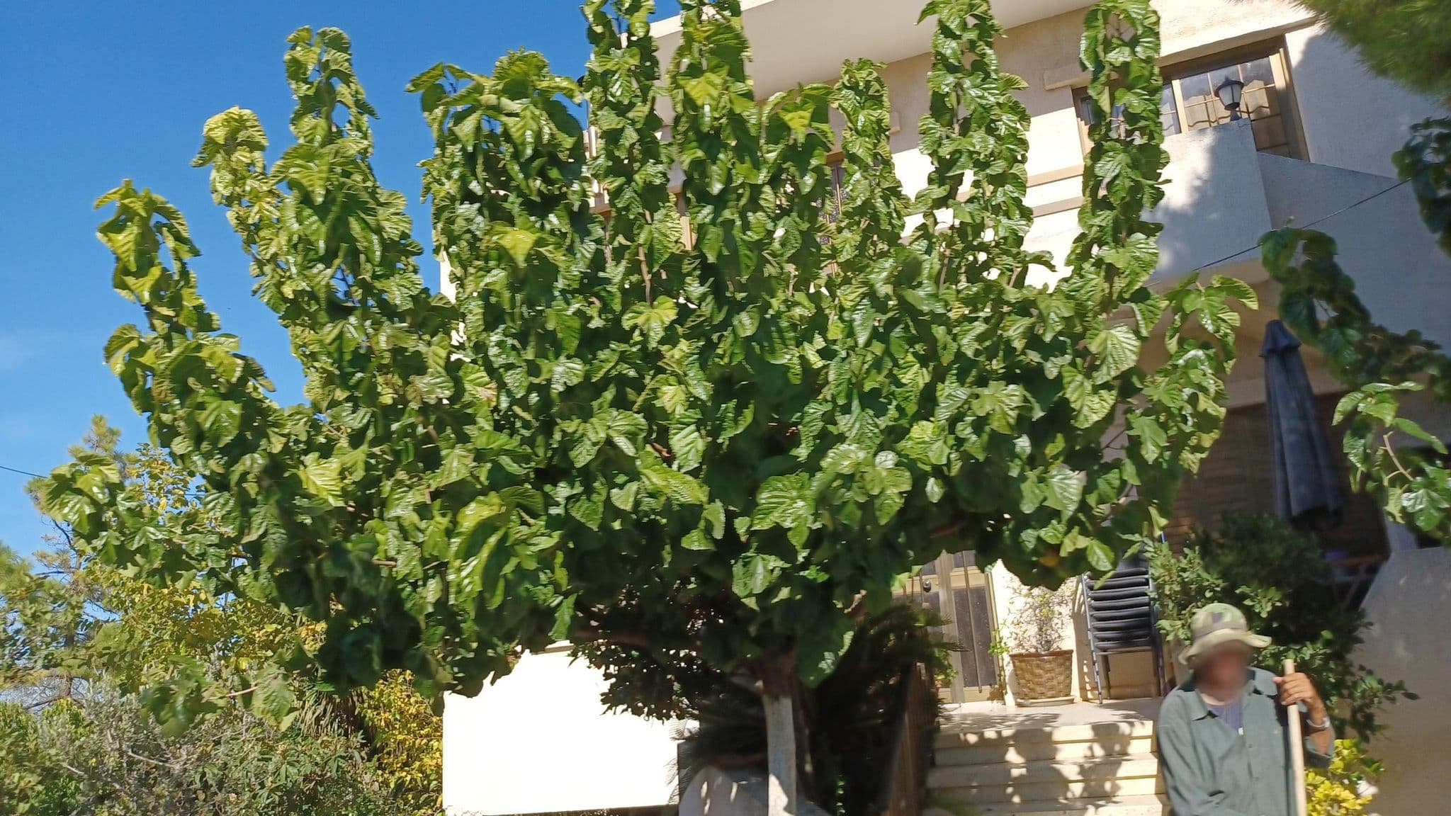 Street view near Christos apts Drousia, Pólis — © noa1 (CC BY-SA · Mapillary)
