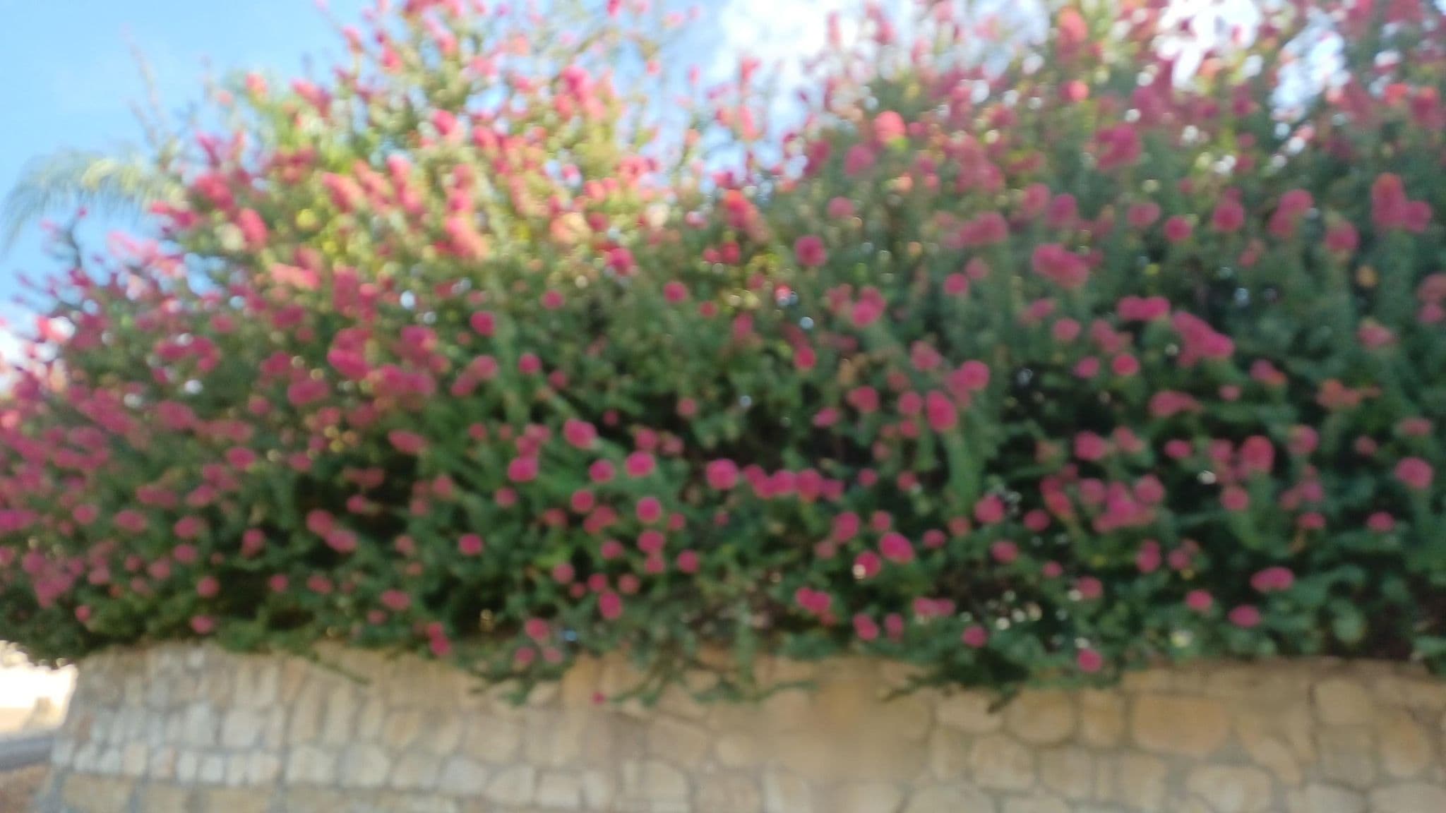 Street view near Windmill Villa, Pólis — © noa1 (CC BY-SA · Mapillary)