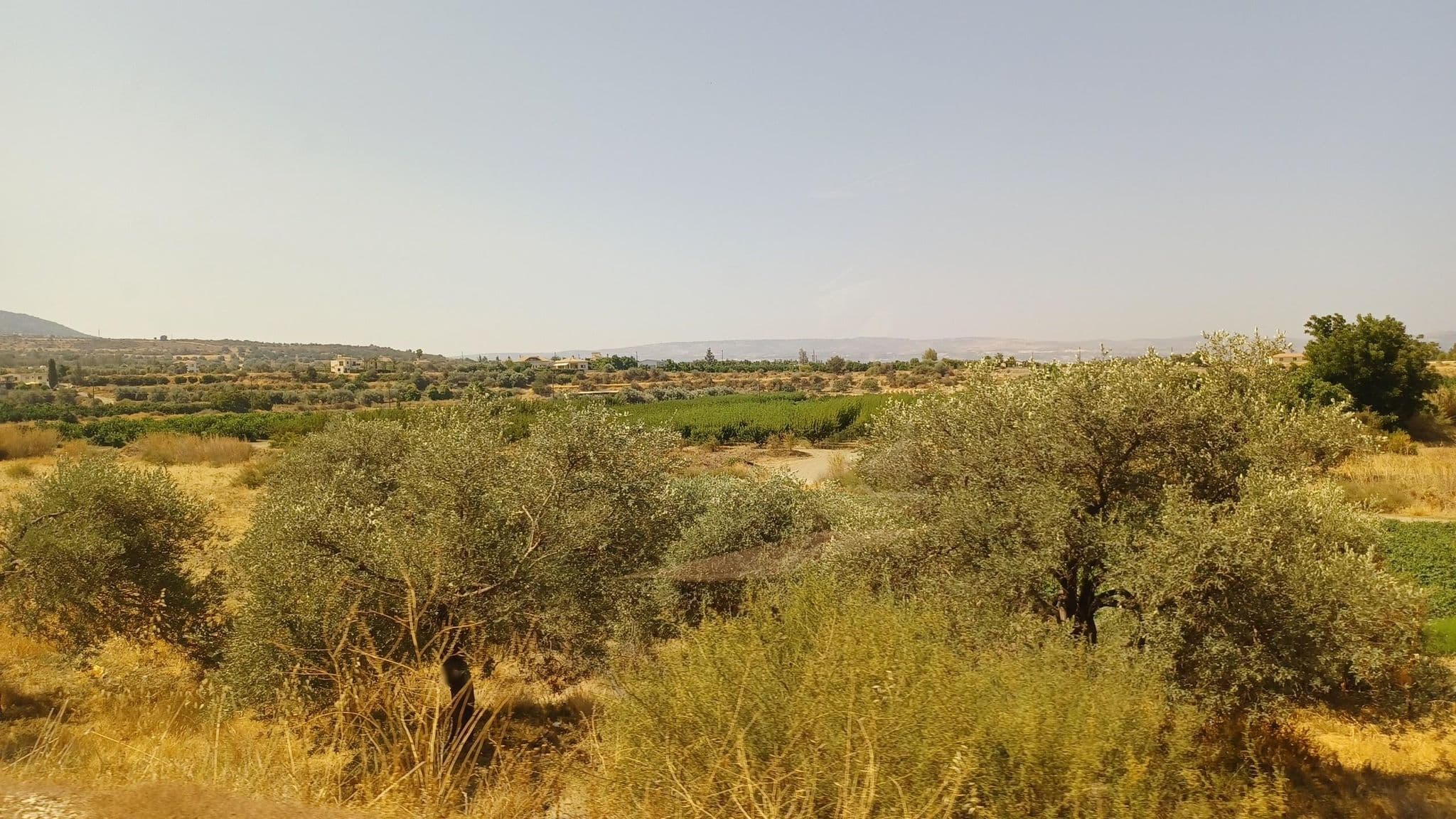 Street view near Villa Demetra, Argaka, Cyprus, Argáka — © noa1 (CC BY-SA · Mapillary)