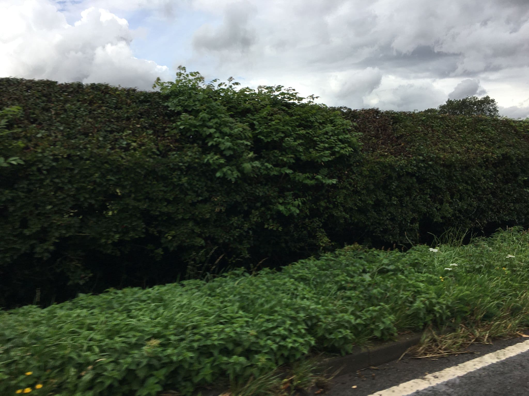 Street view near 5 Ways Lakes, Bedworth — © gness (CC BY-SA · Mapillary)