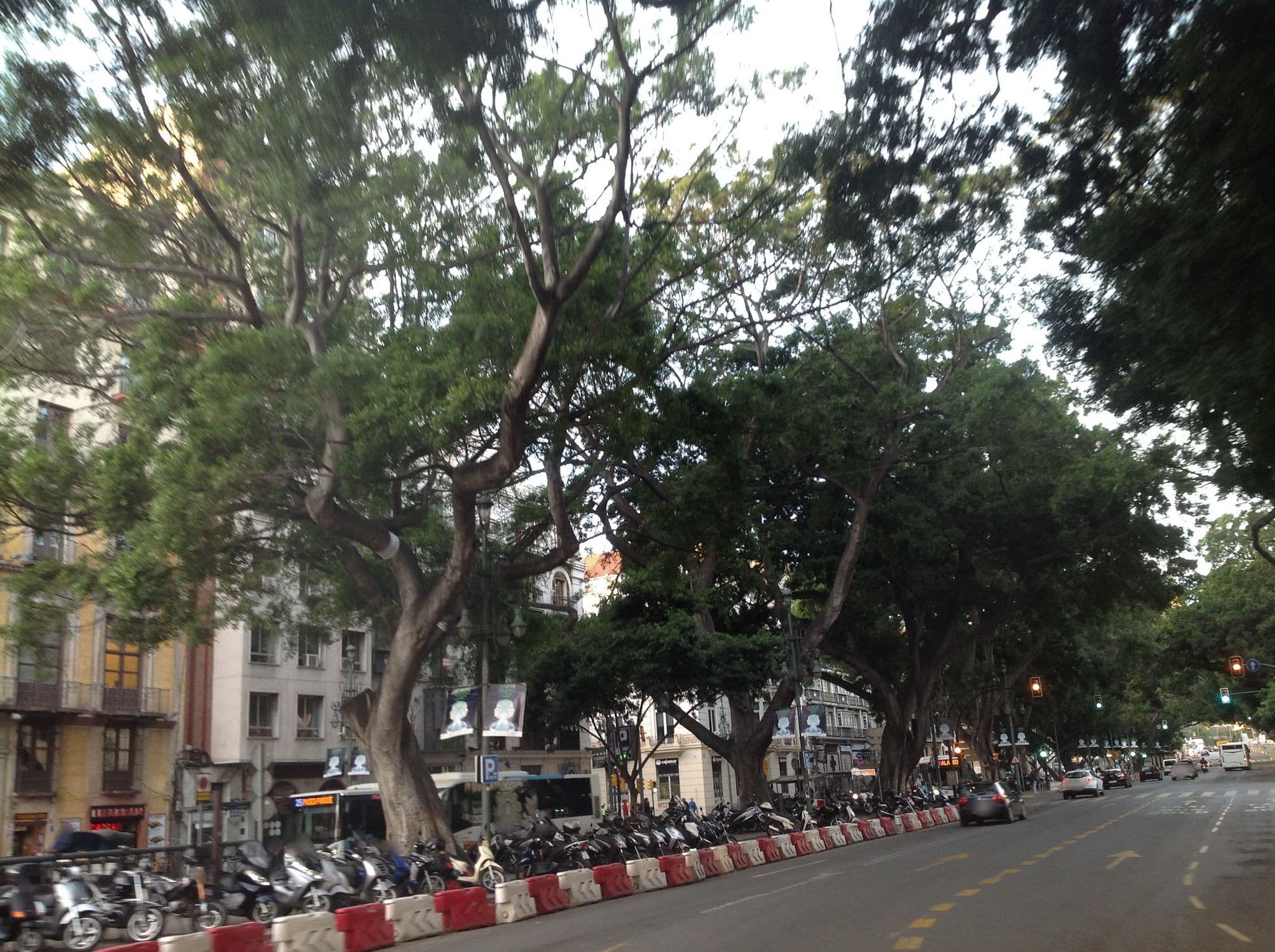 Street view near Hotel Doho, Málaga — © fundacja_geolife (CC BY-SA · Mapillary)