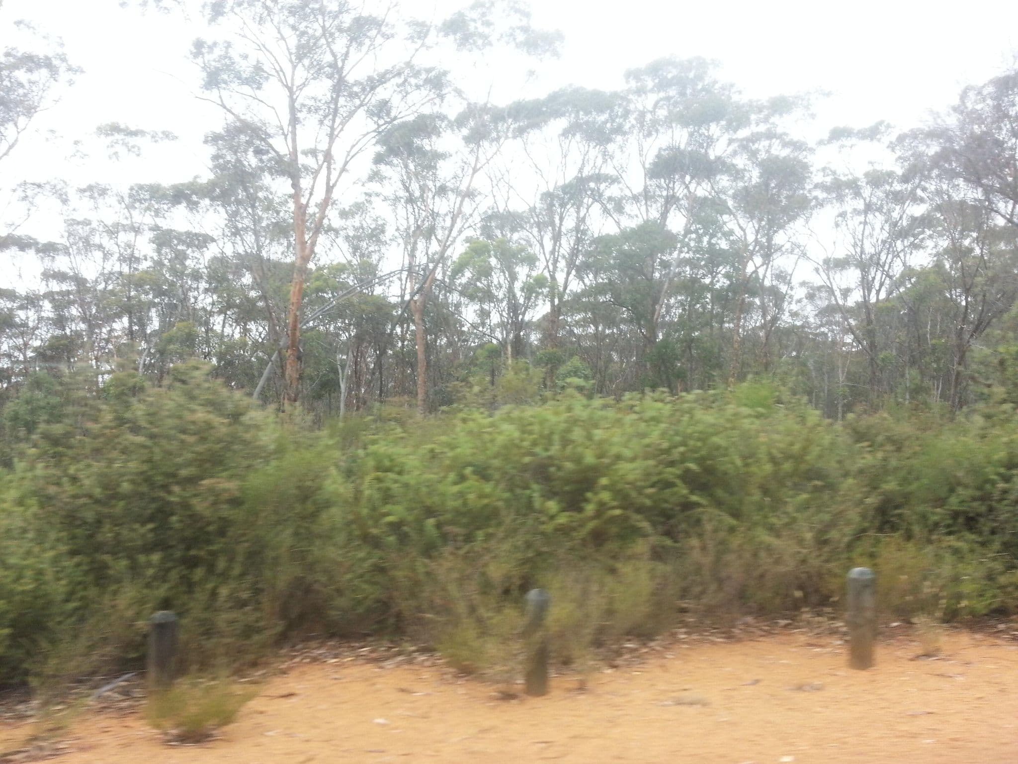 Street view near Gnaala Mia Campground, Narrogin — © bob3bob3 (CC BY-SA · Mapillary)