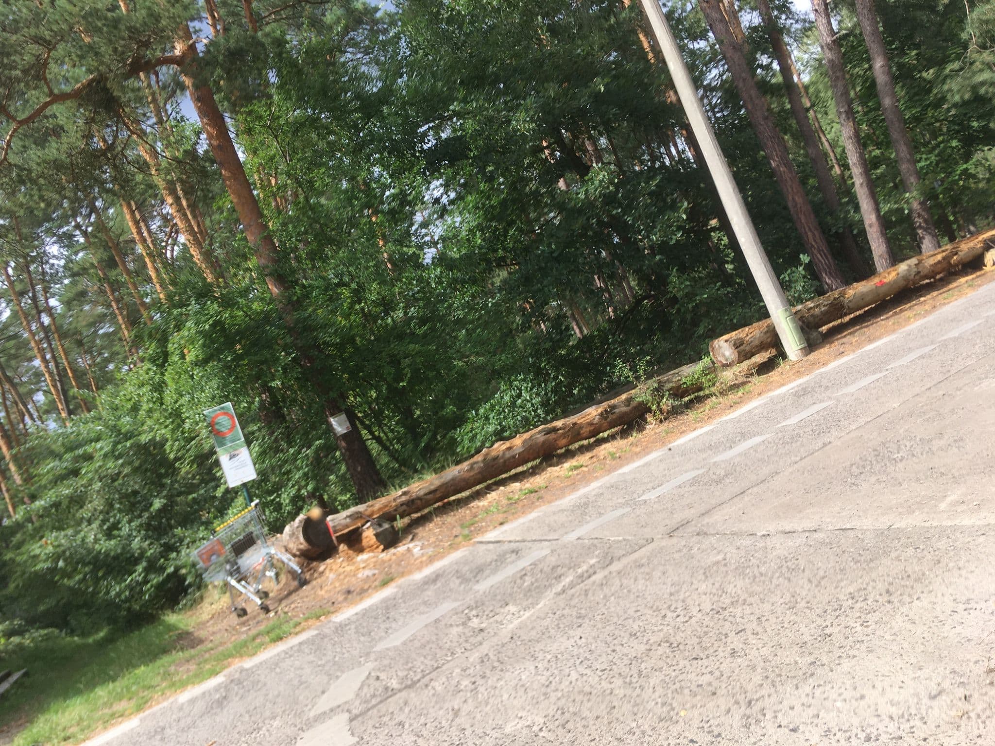 Street view near Campingplatz Berlin DE GmbH, Schmöckwitz — © carlheinz (CC BY-SA · Mapillary)
