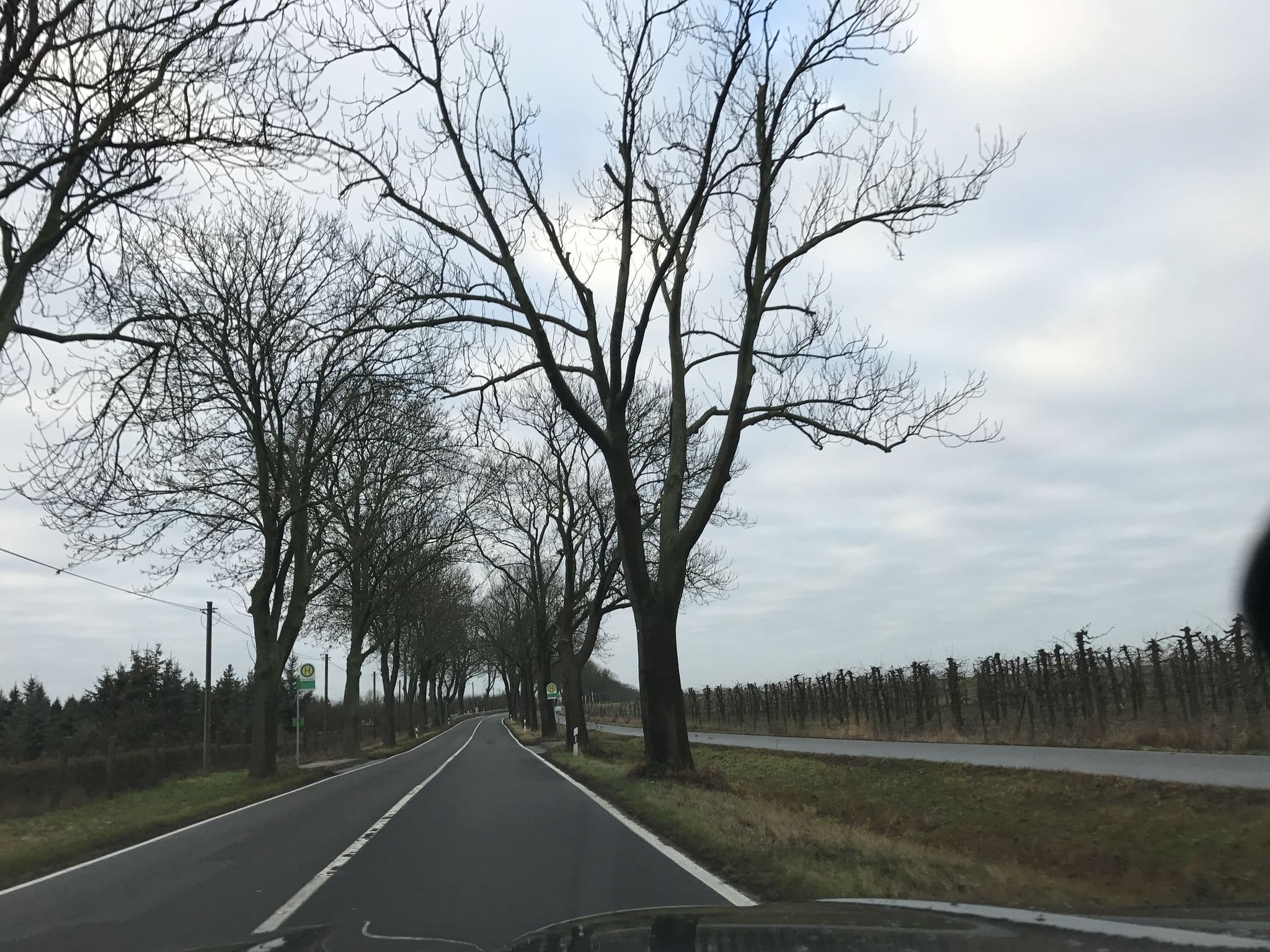 Street view near Van Dams Kirschenhof, Groß Kreutz — © tb4711 (CC BY-SA · Mapillary)