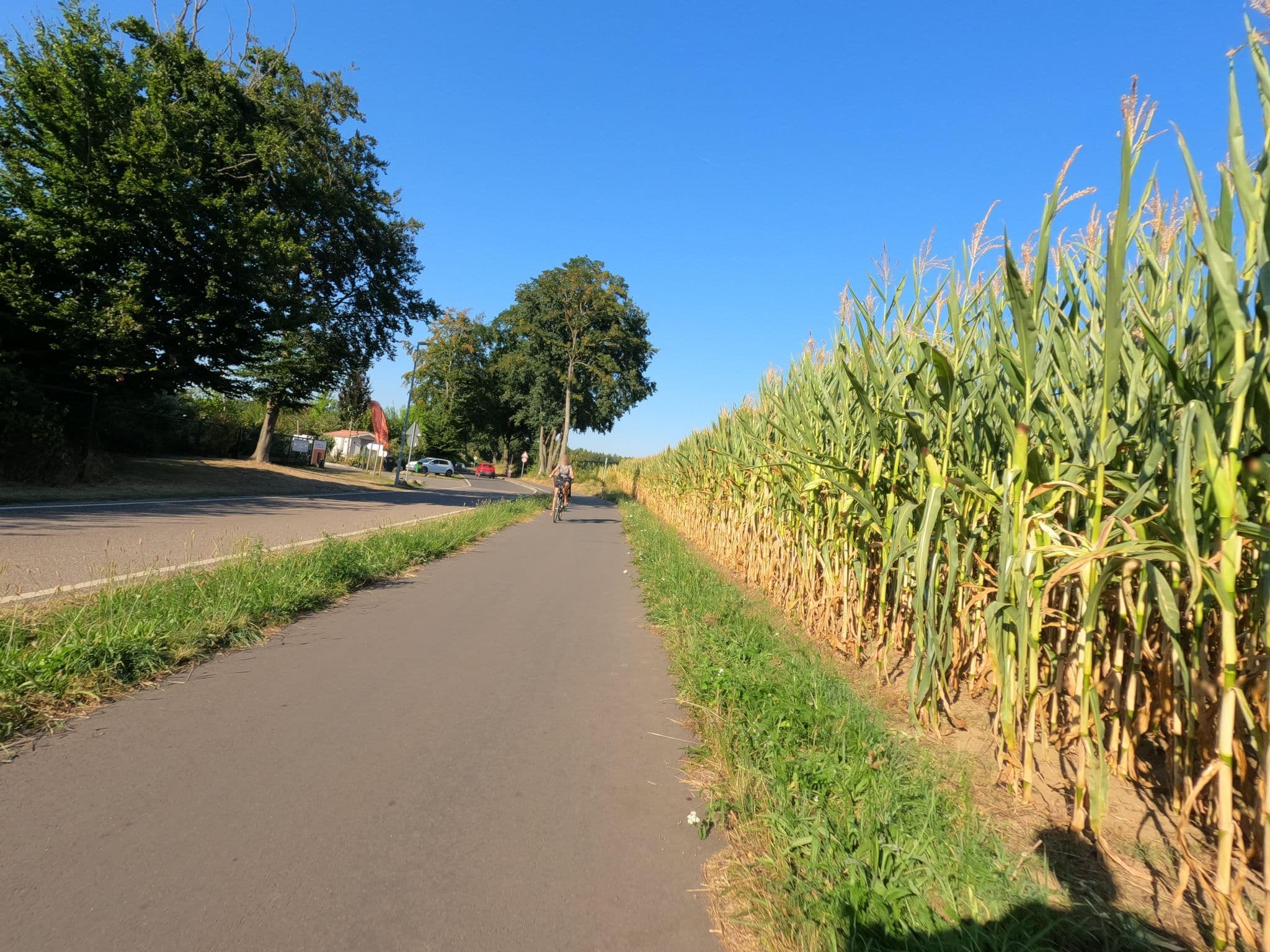Street view near Campingplatz Effelder Waldsee, Wassenberg — © hektor1989 (CC BY-SA · Mapillary)