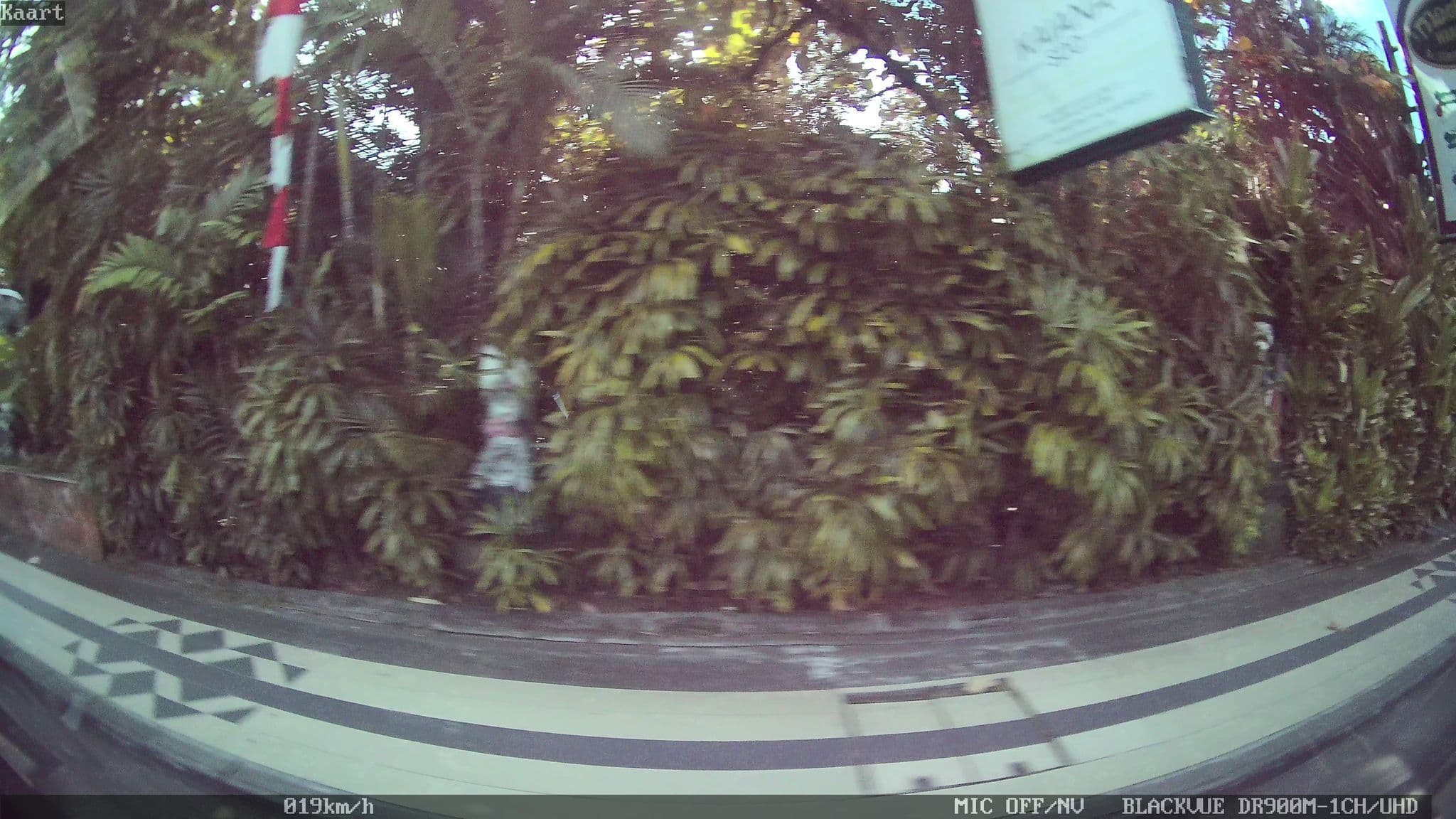 Street view near Warung, Legian