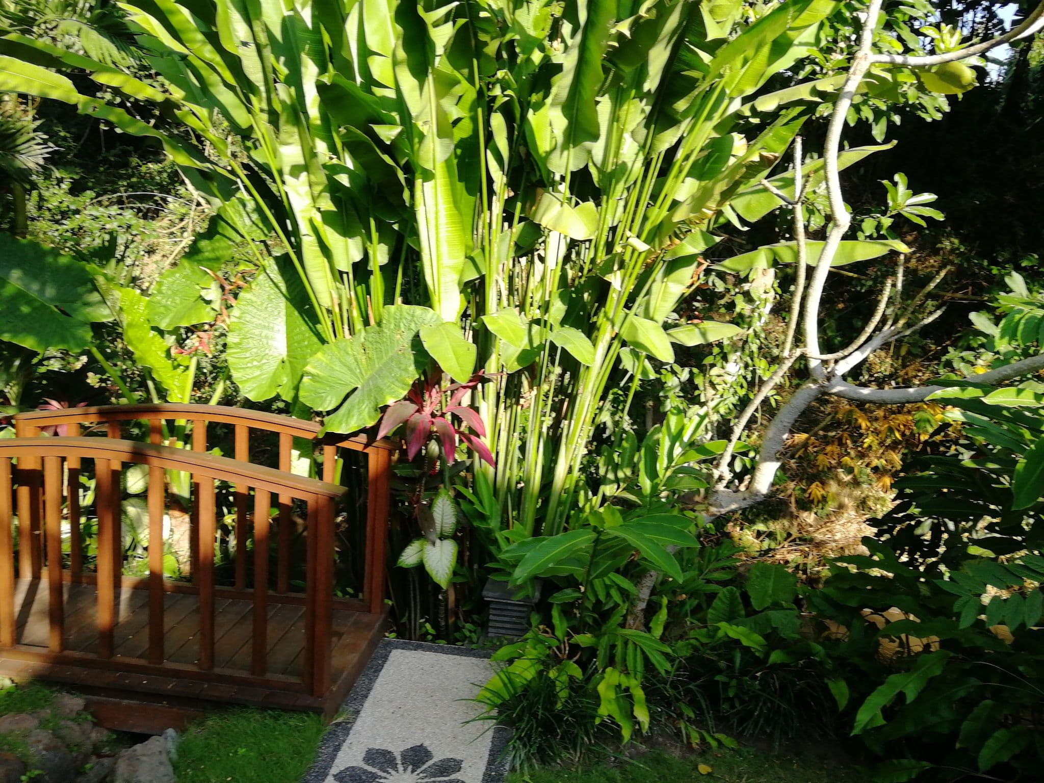 Street view near Maylie Bali Villa, Dalung