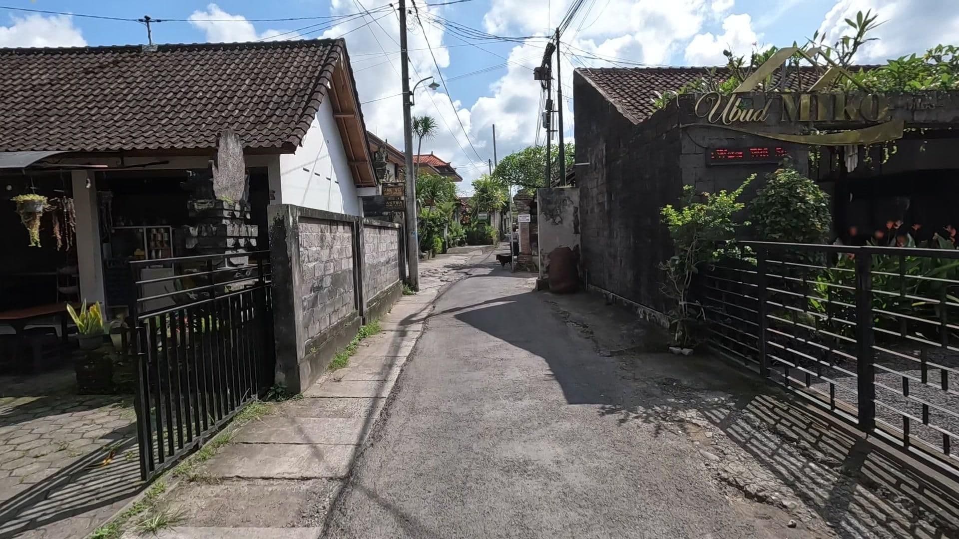 Street view near Miko Villas, Ubud