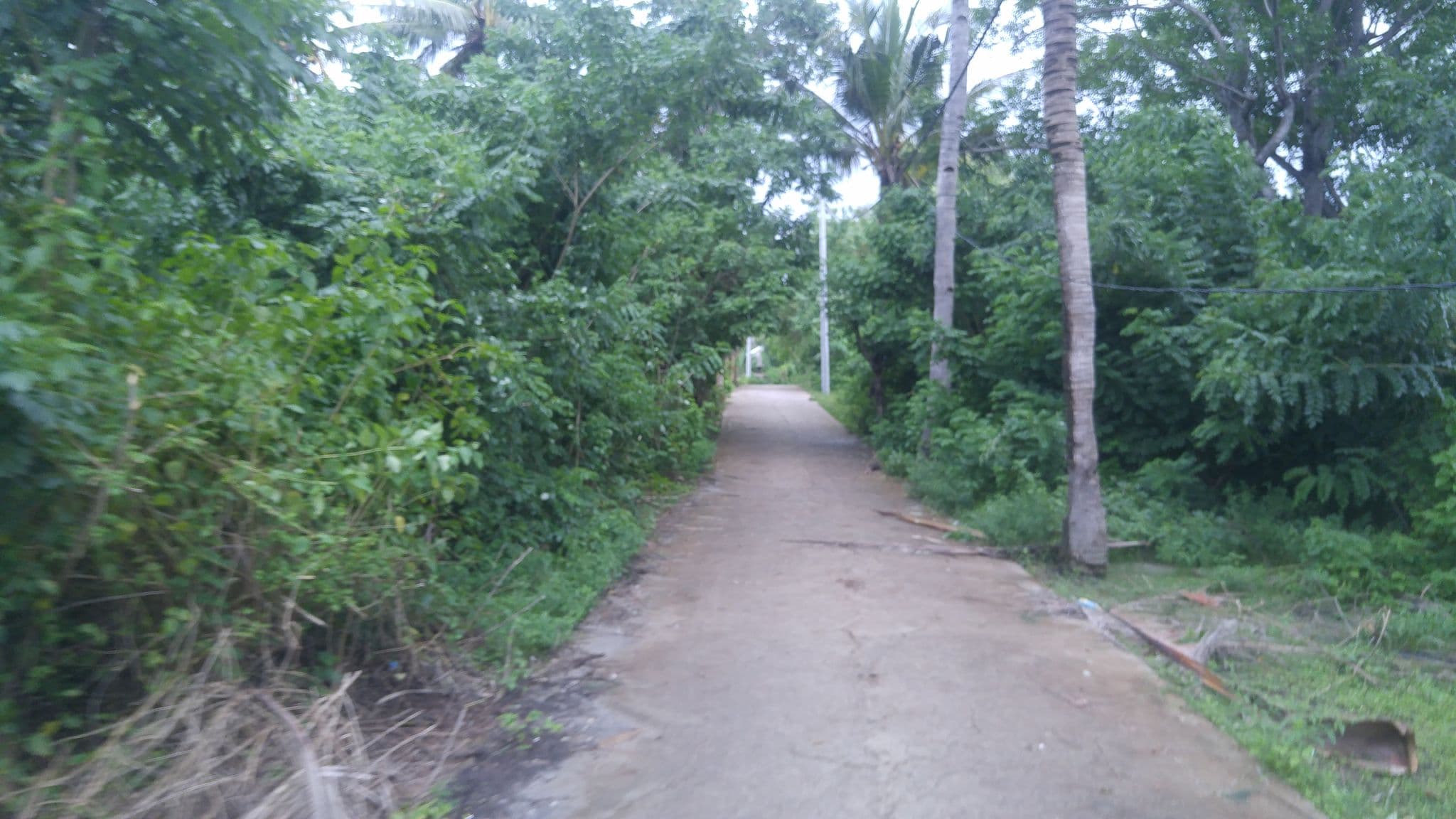 Street view near Blue Moon Meno, Gili Trawangan