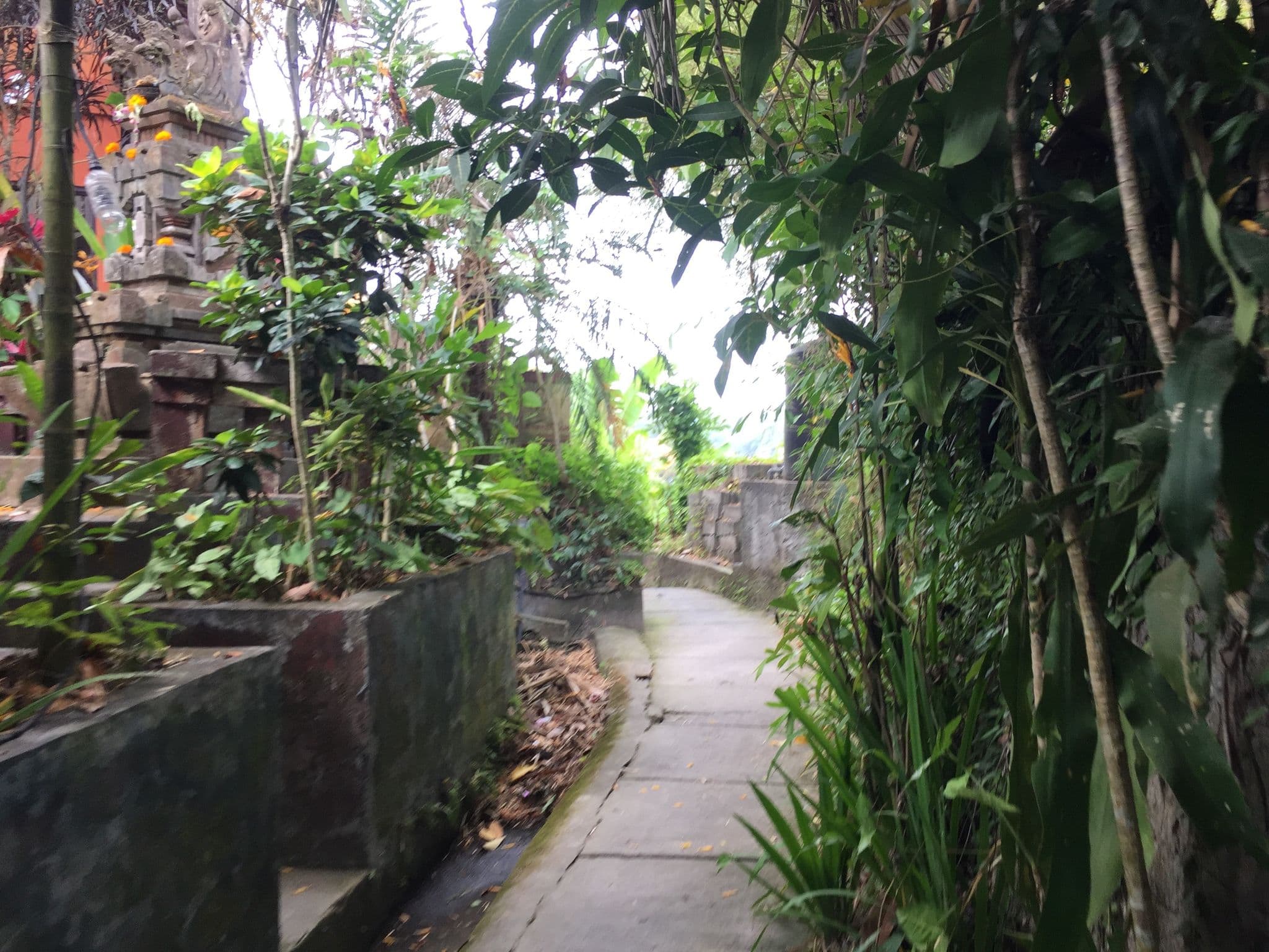 Street view near Cinta Cantique, Ubud — © nickp (CC BY-SA · Mapillary)