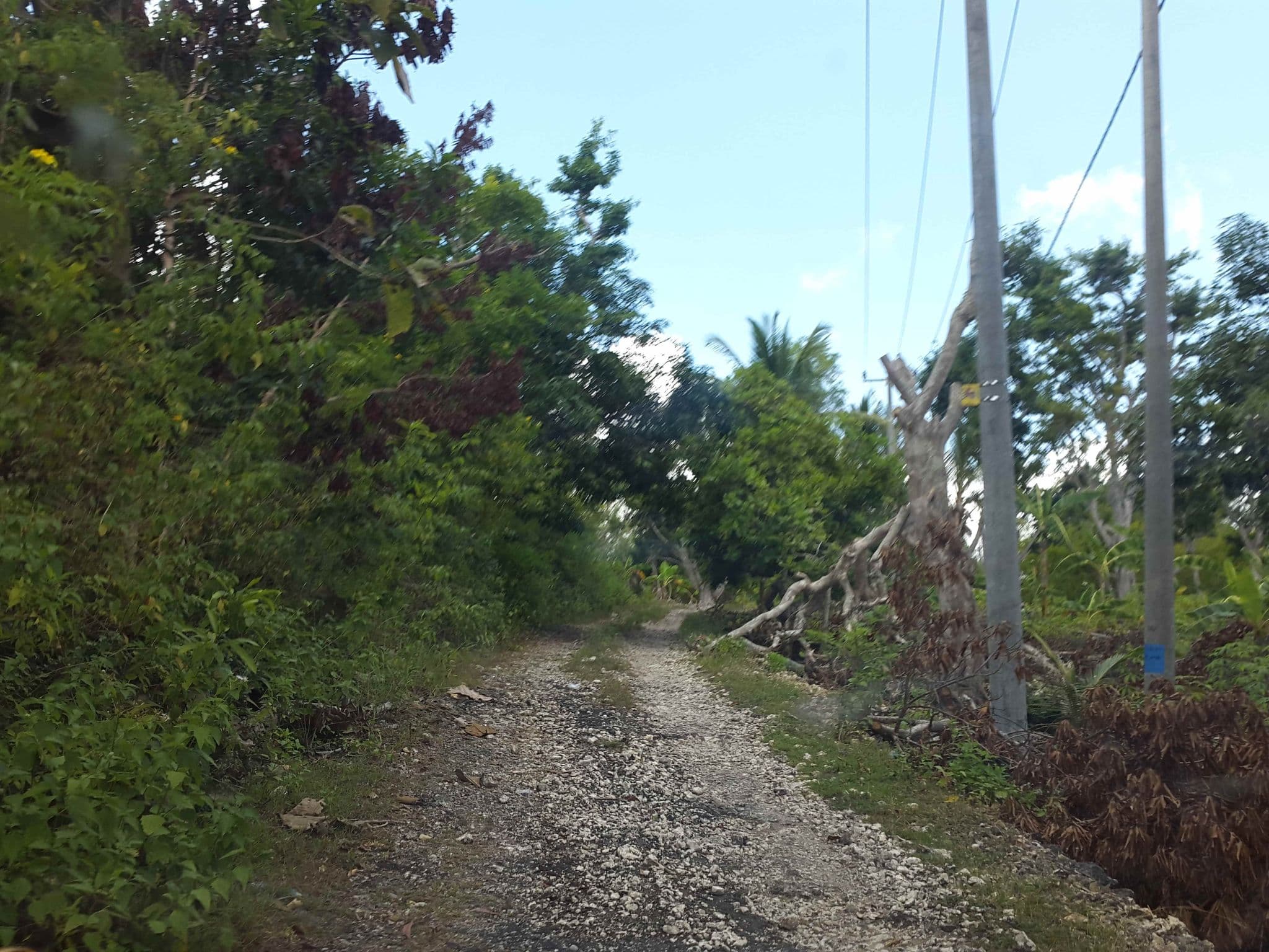 Street view near Ayu Hill Bungalows, Klungkung