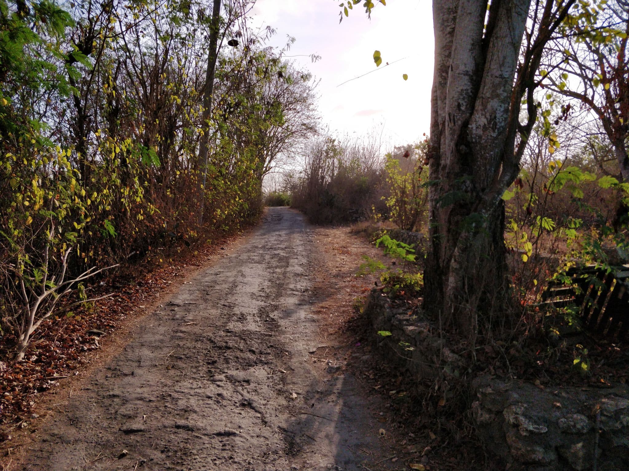 Street view near Auora Guesthouse, Klungkung
