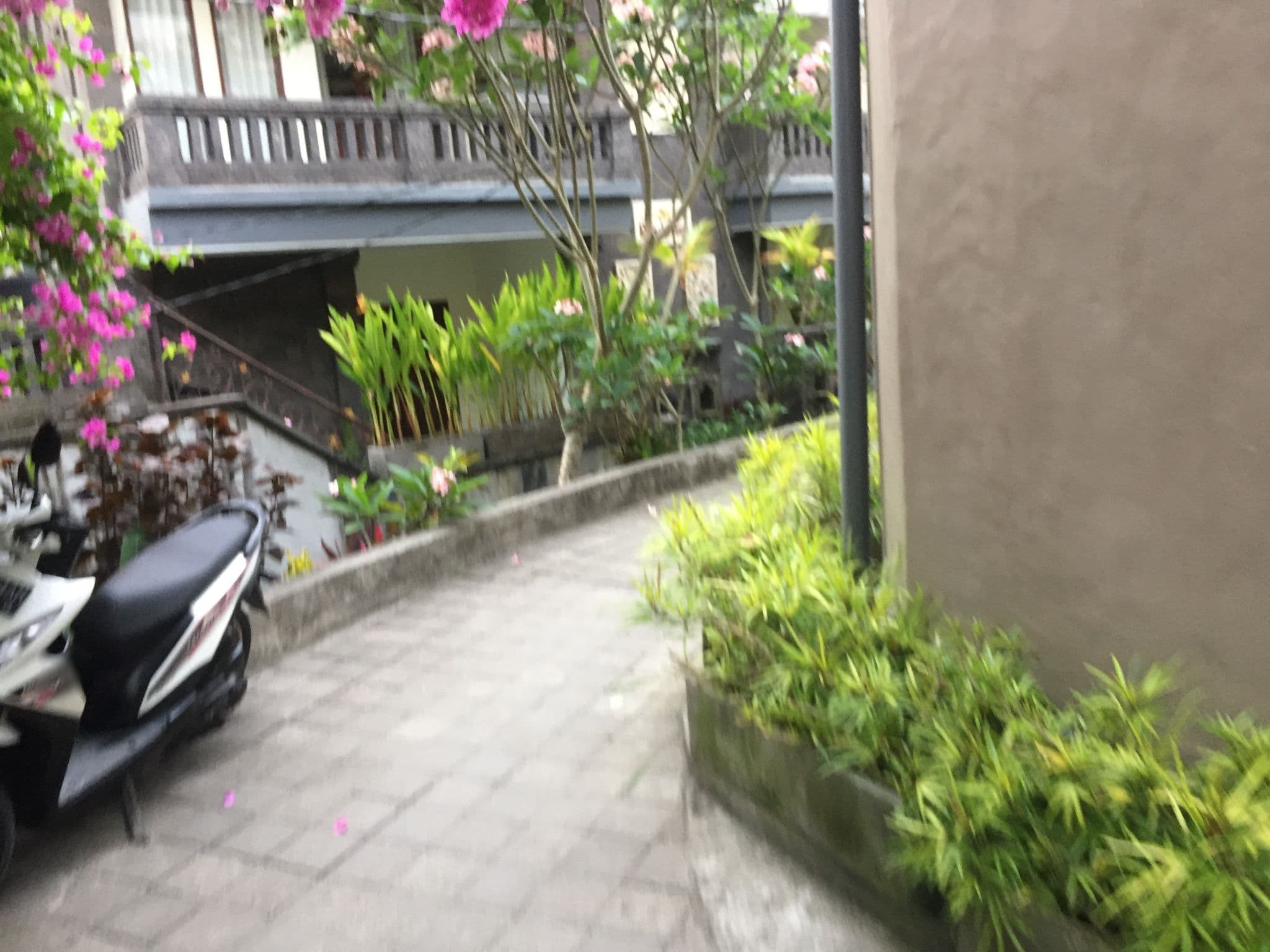 Street view near The Runik Ubud, Ubud