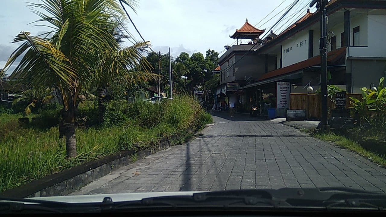 Street view near Puji Bungalows, Ubud