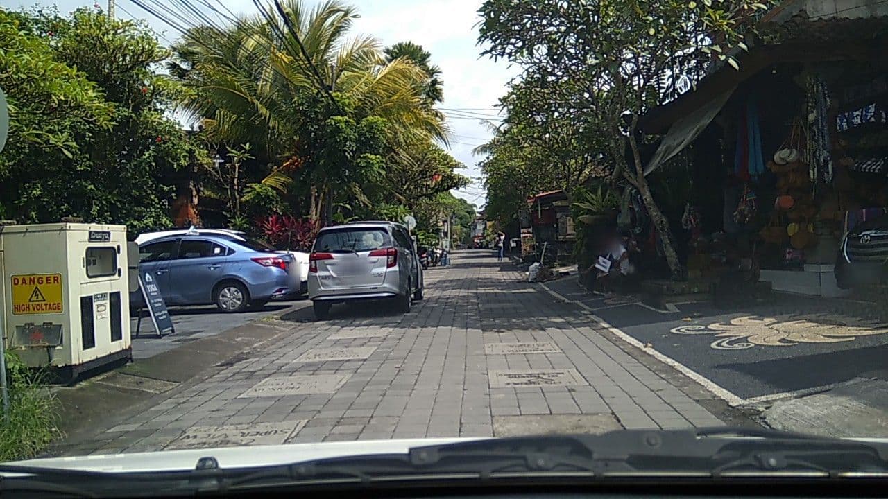 Street view near Honeymoon Guesthouse 2, Ubud