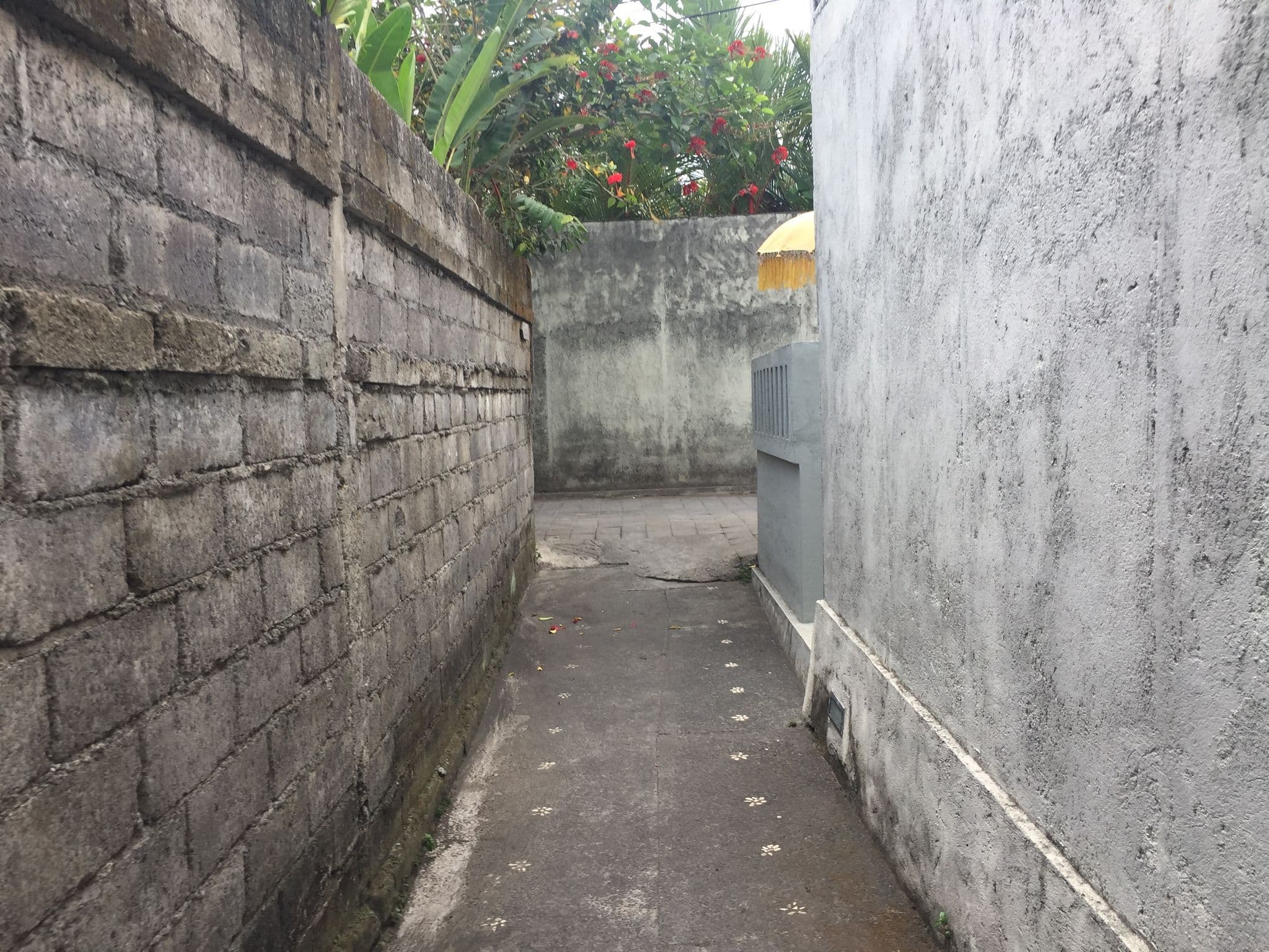 Street view near Kubu Darma Guesthouse, Ubud