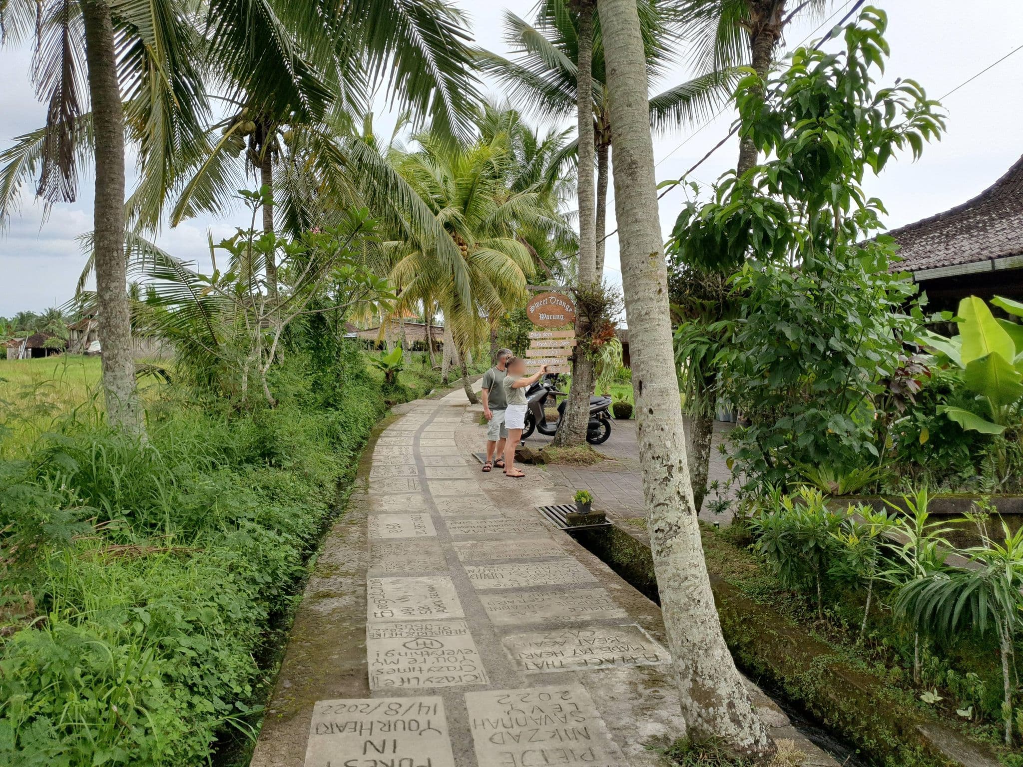 Street view near Sweet Orange Pondok, Ubud