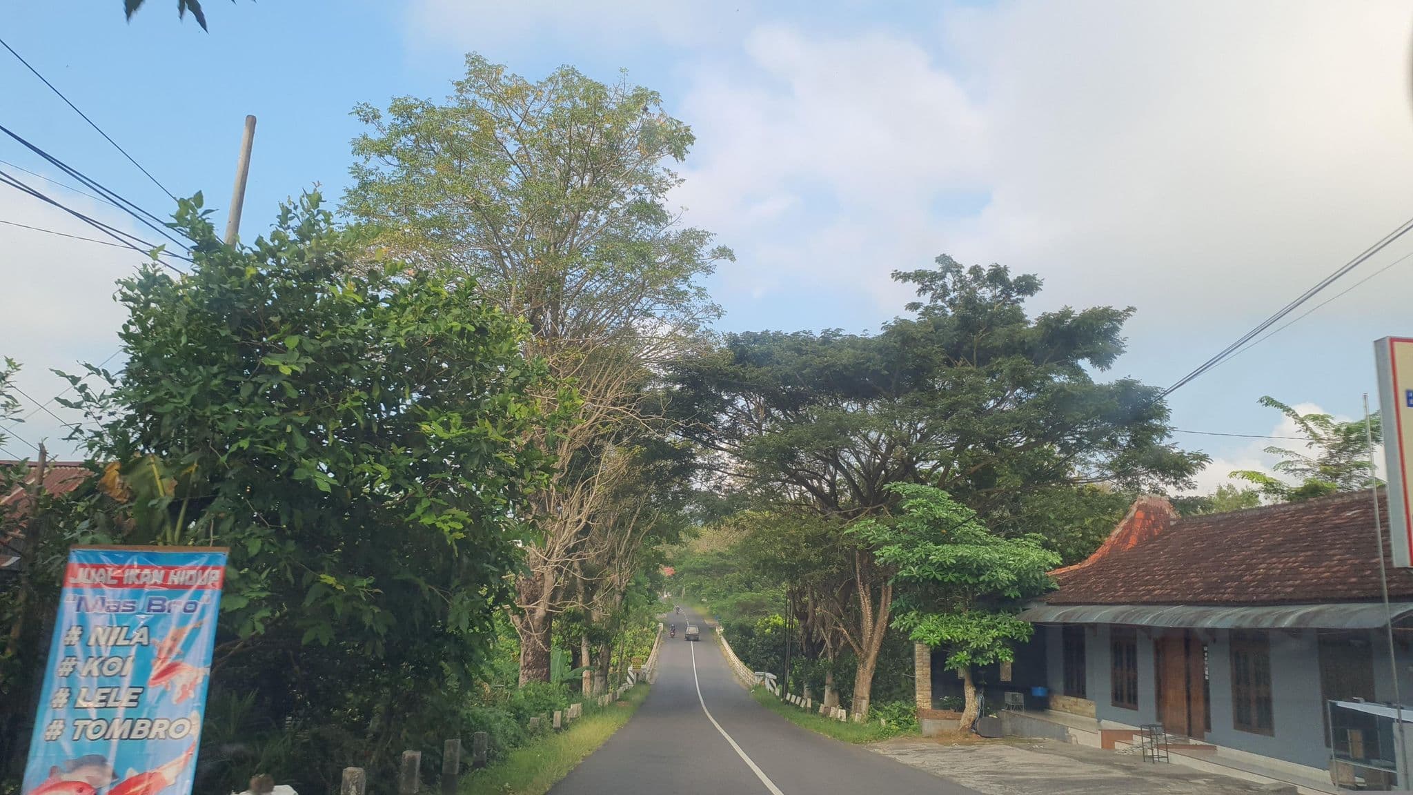 Street view near Hotel Bukit Mulia, Selogiri — © FotoPeta (CC BY-SA · Mapillary)