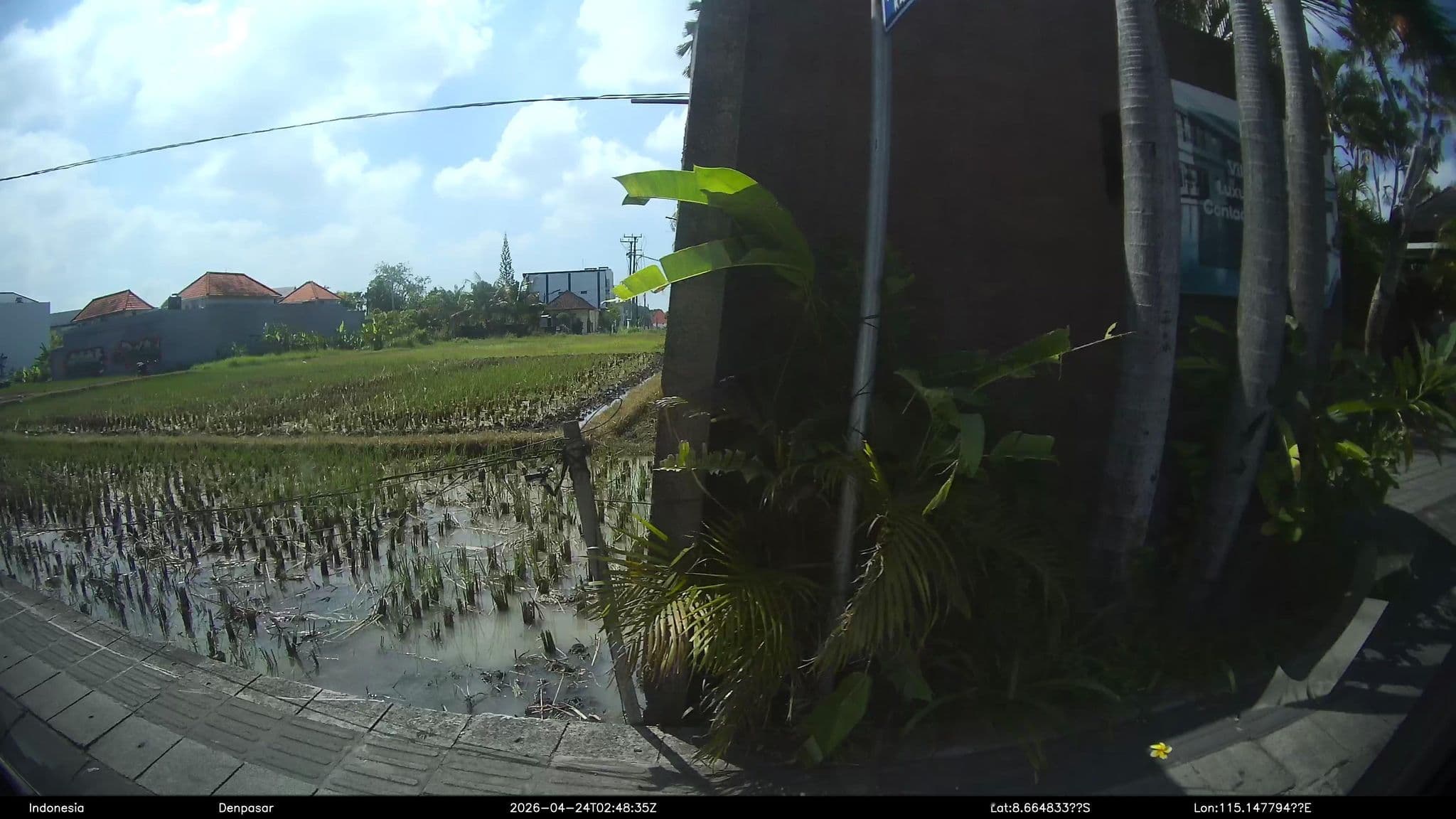 Street view near Villa Body, Legian