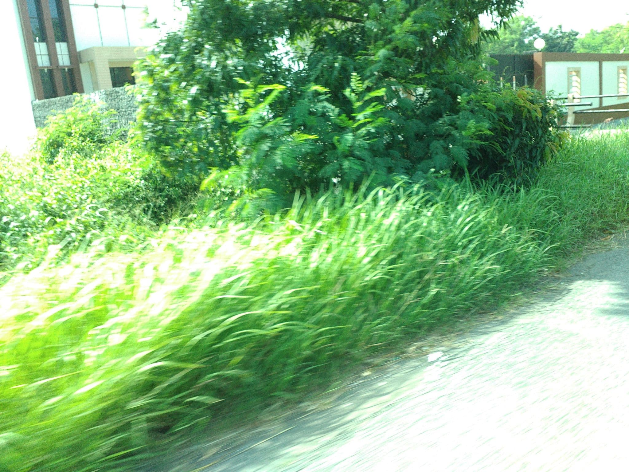 Street view near Hotel Srikandi, Pokak — © arizalkawamuna (CC BY-SA · Mapillary)