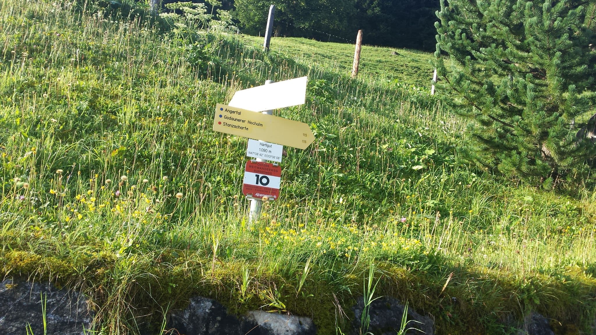 Street view near Jausenstation Hartlgut, Anger — © schermy_at (CC BY-SA · Mapillary)