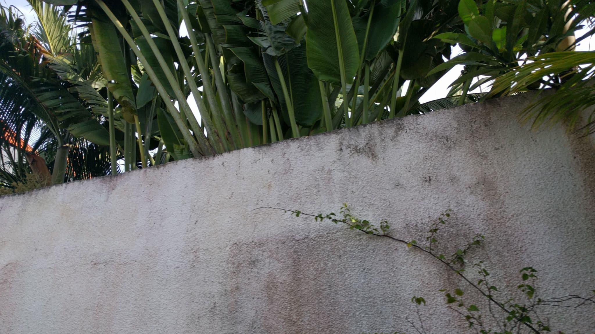 Street view near Arsham’s Villa, Legian — © tfachrina (CC BY-SA · Mapillary)