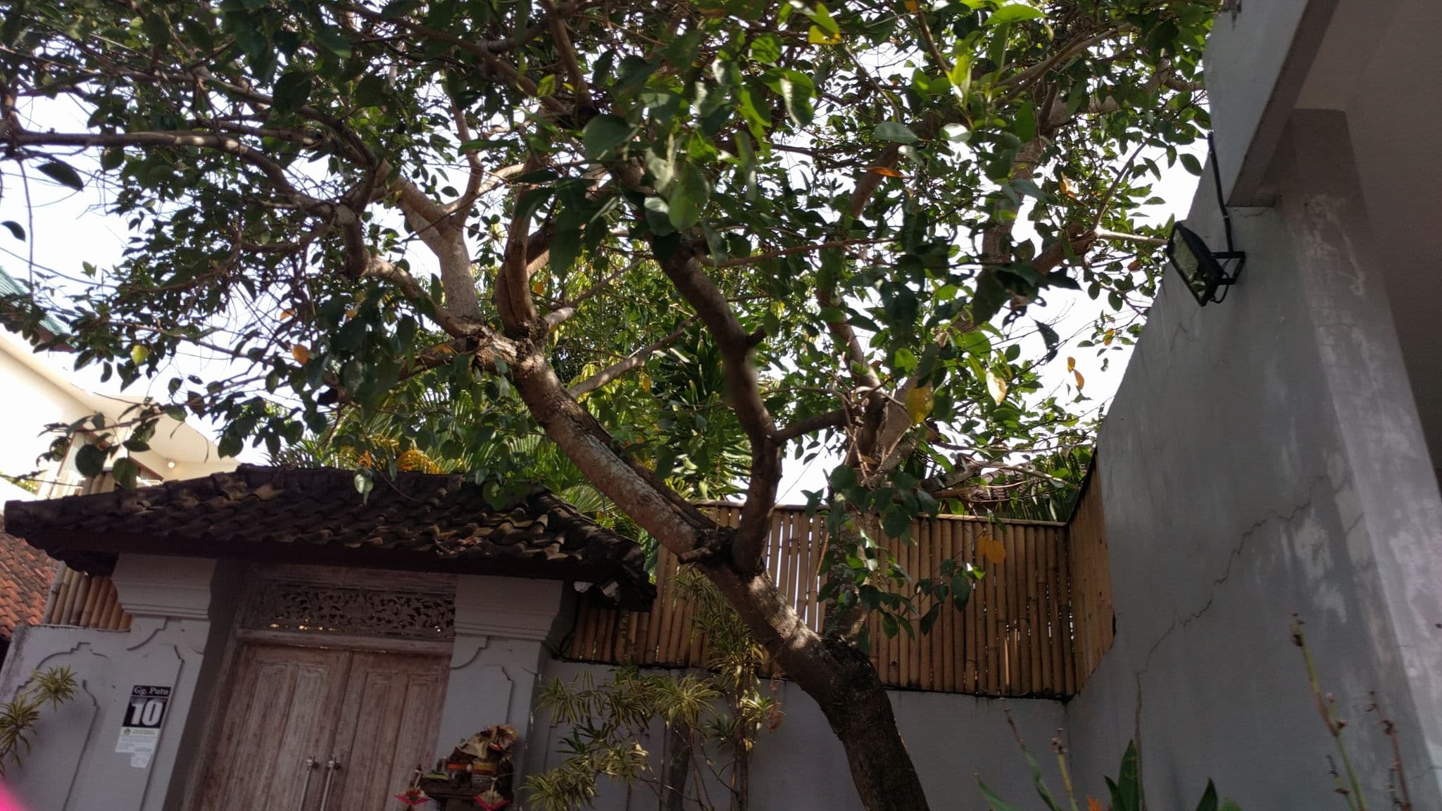 Street view near Villa Deba 4, Legian