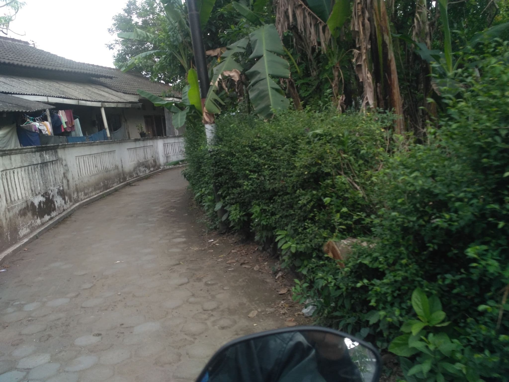 Street view near Kos Pak Roso, Melati