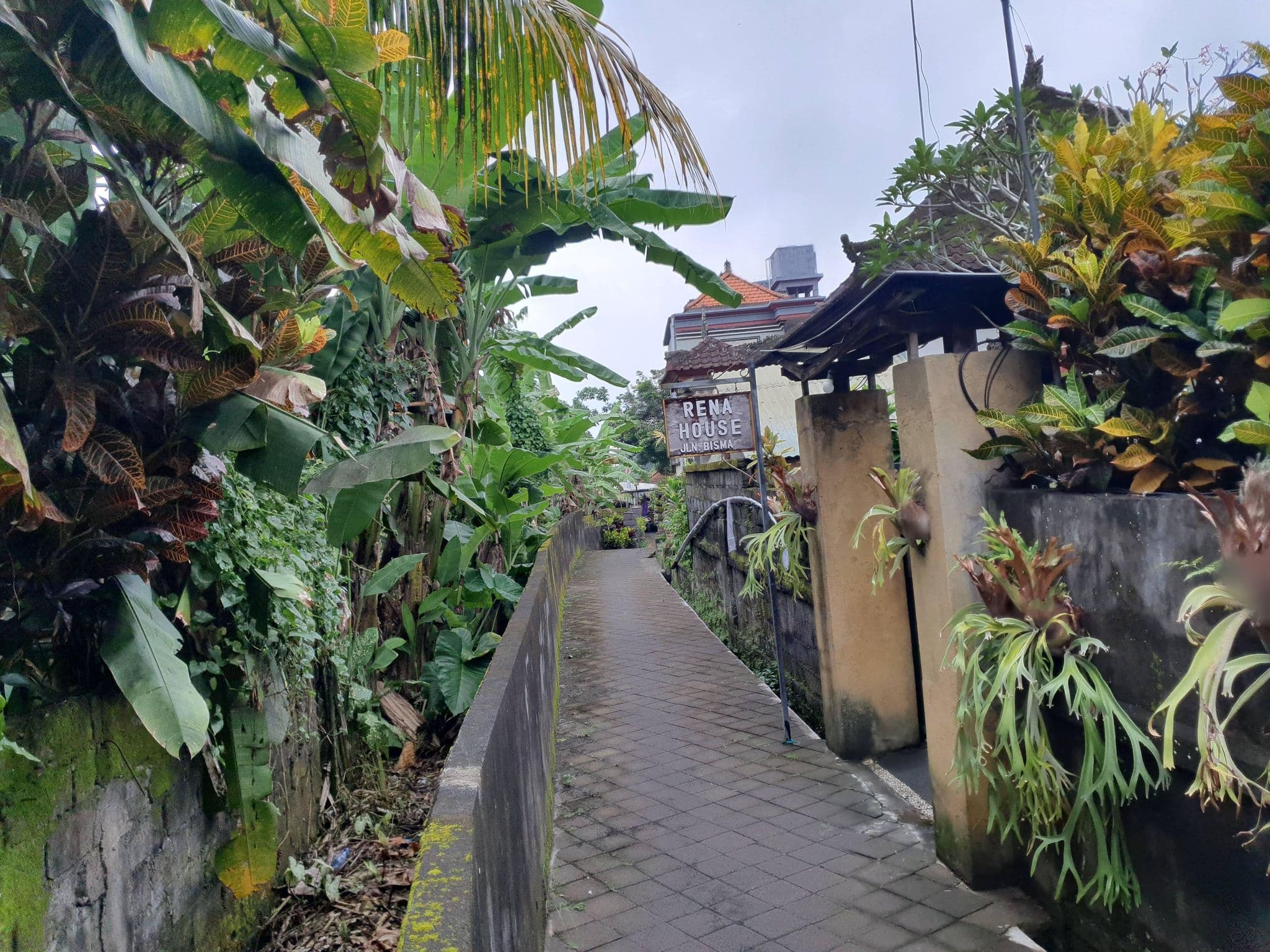 Street view near Why Not Villas, Ubud