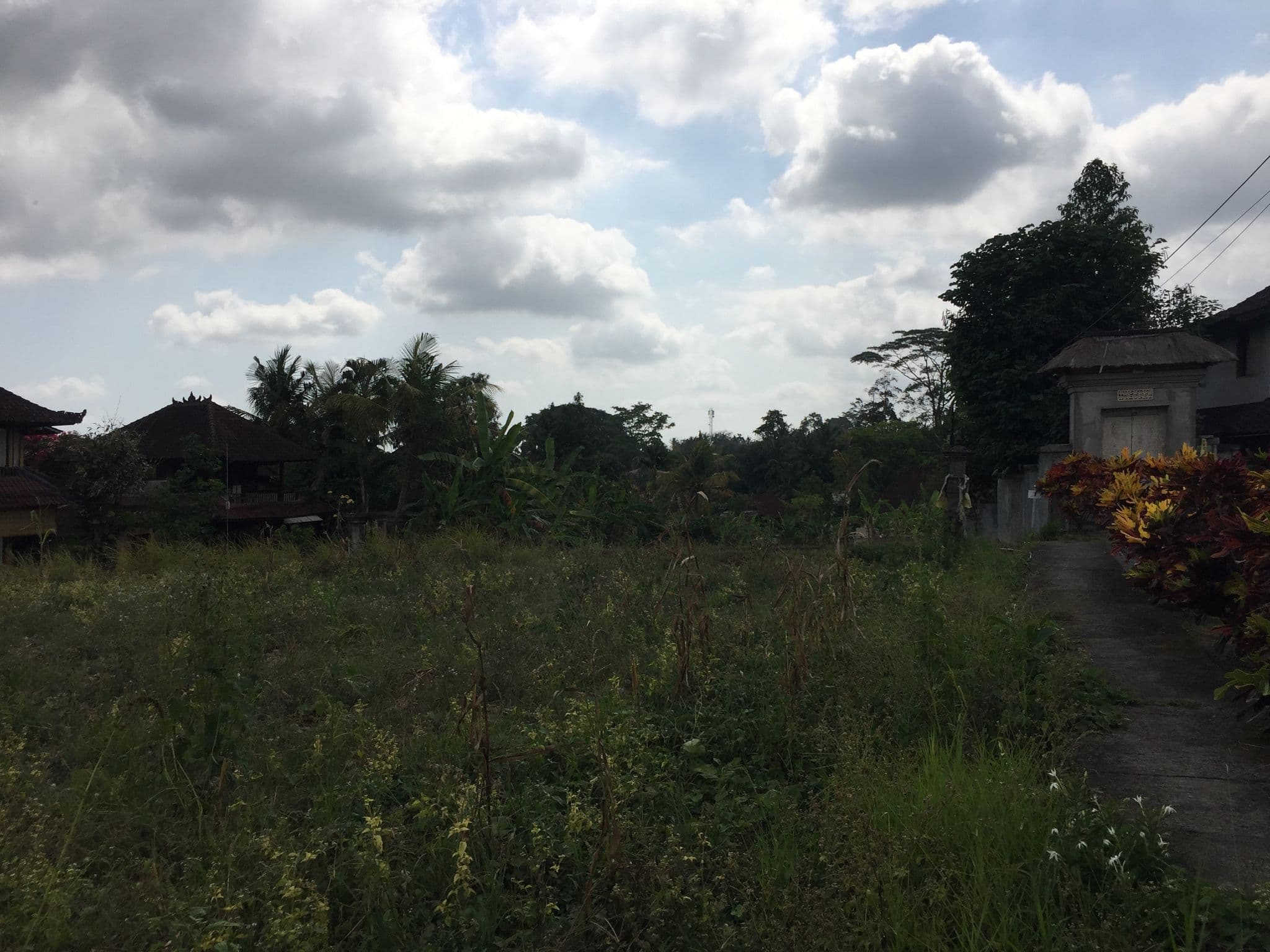 Street view near Villa Soul, Ubud