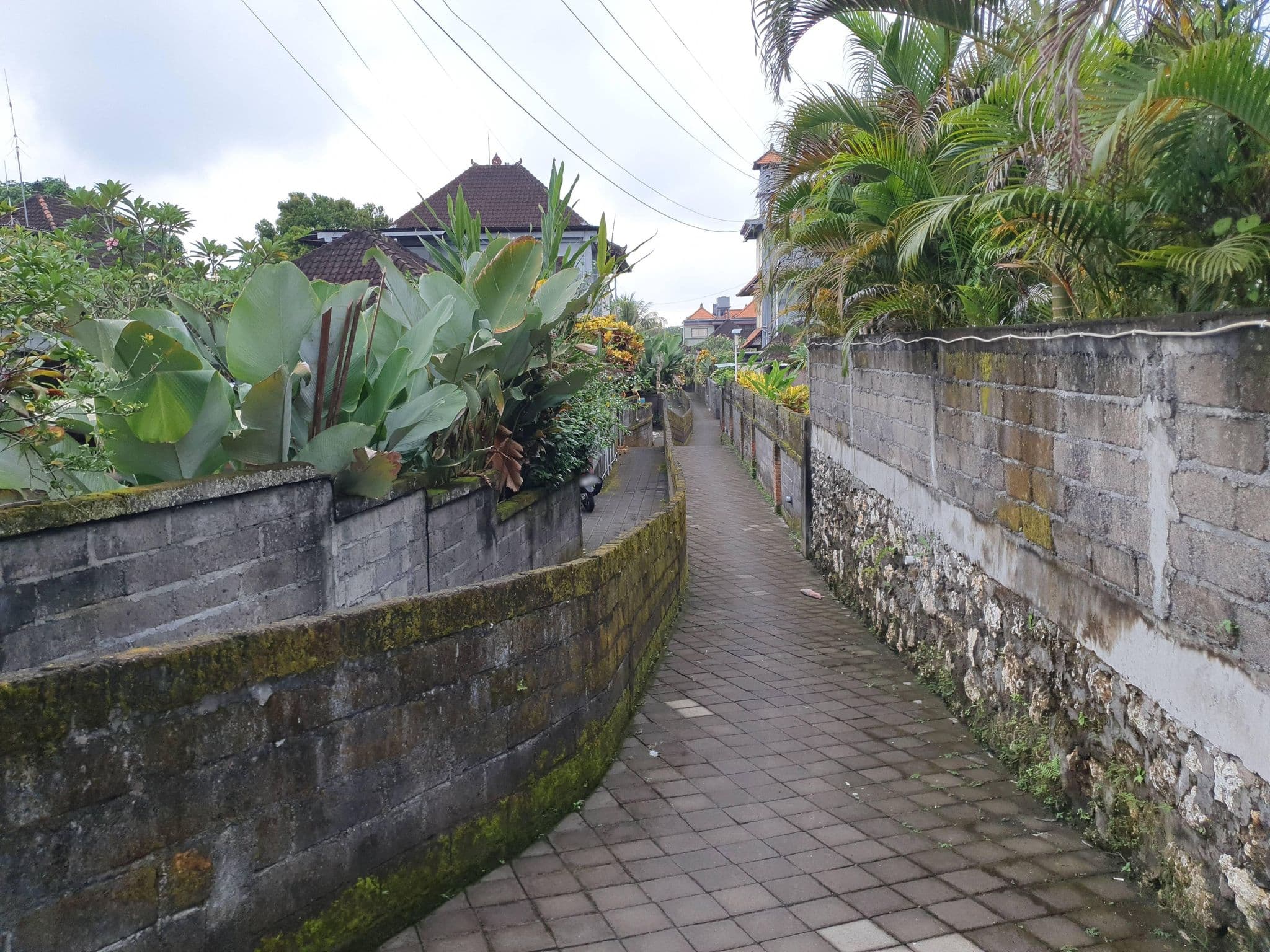 Street view near Happy Inn 2, Ubud