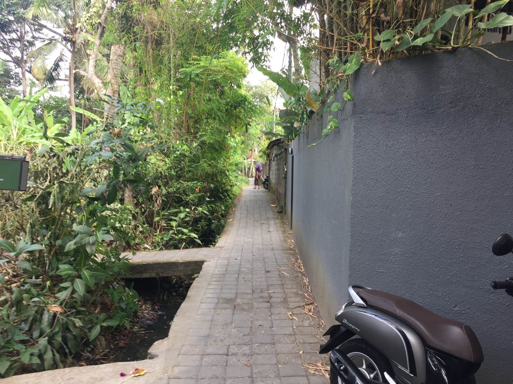 Street view near Villa D'Omah, Ubud