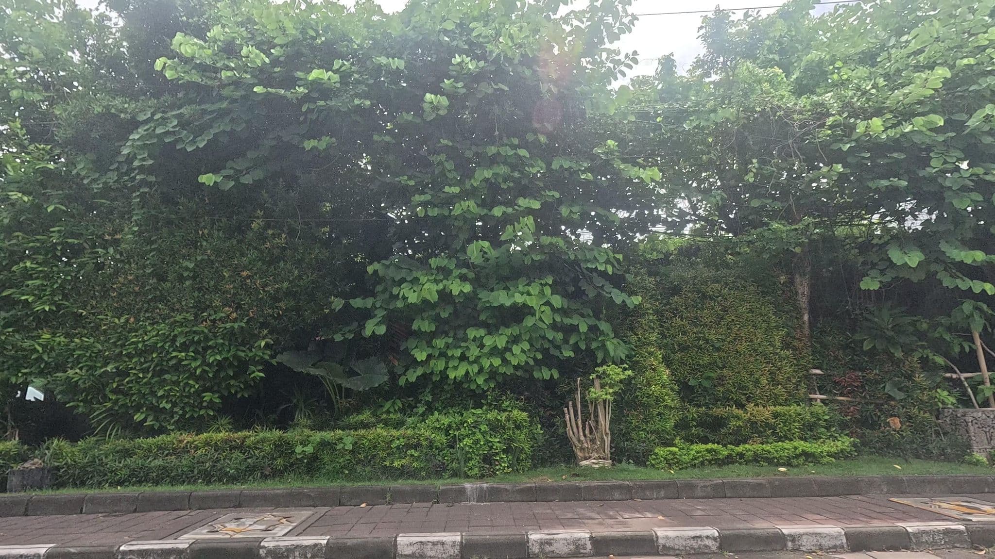 Street view near djabu villas canggu, Dalung