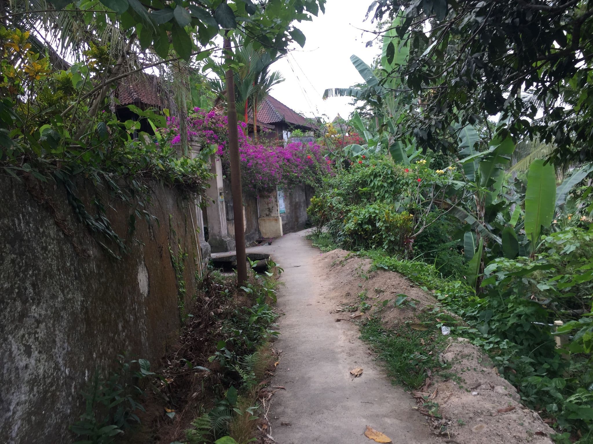 Street view near Villa Indo - French, Ubud