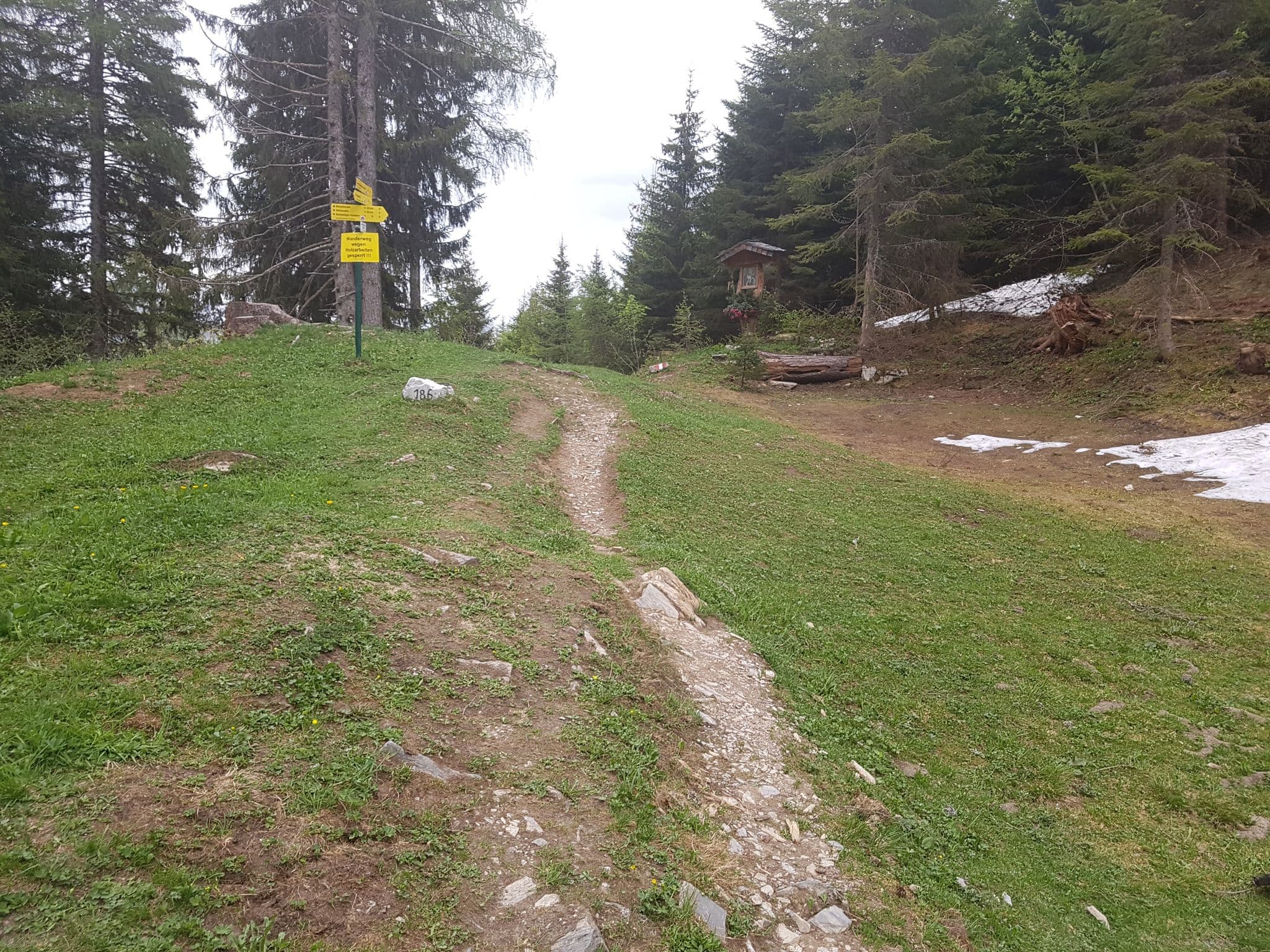 Street view near Igltalalm (Niggeltalalm), Plankenau — © schermy_at (CC BY-SA · Mapillary)