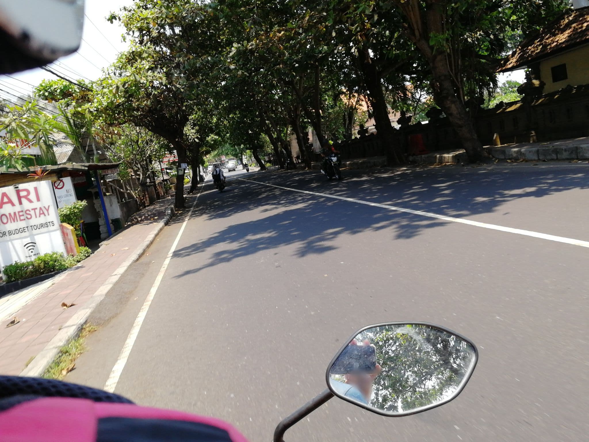 Street view near Ary Homestay, Bedugul — © thewayofmando (CC BY-SA · Mapillary)