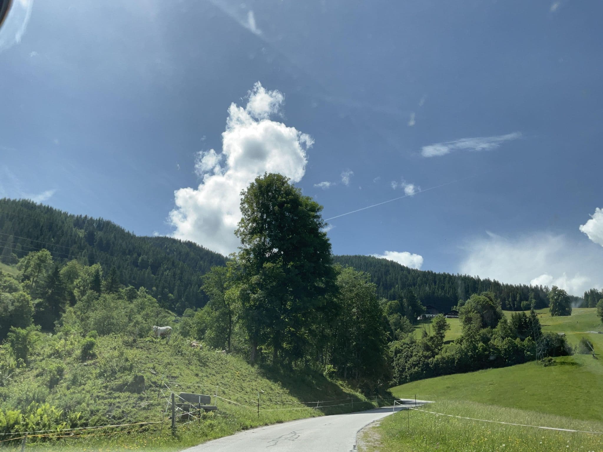Street view near Frühstückspension Pürstl Aloisia, Ramsau am Dachstein — © schladming1 (CC BY-SA · Mapillary)