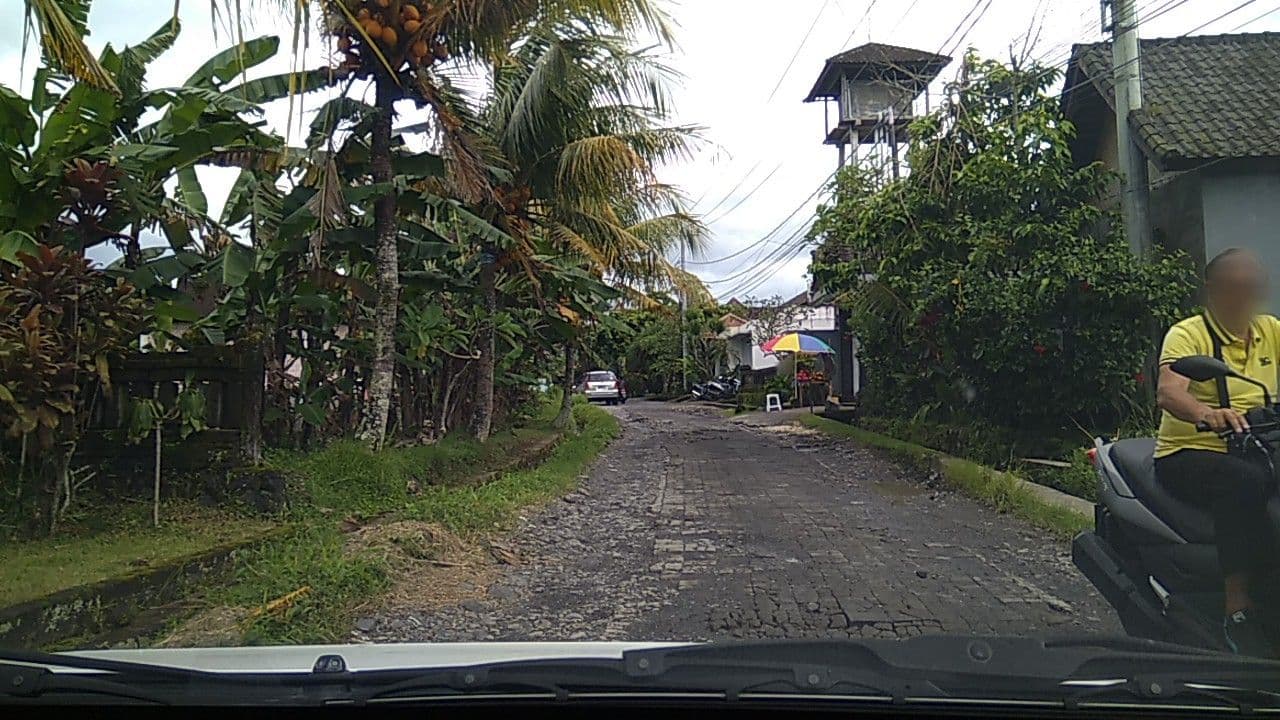 Street view near Kama Bisma, Ubud